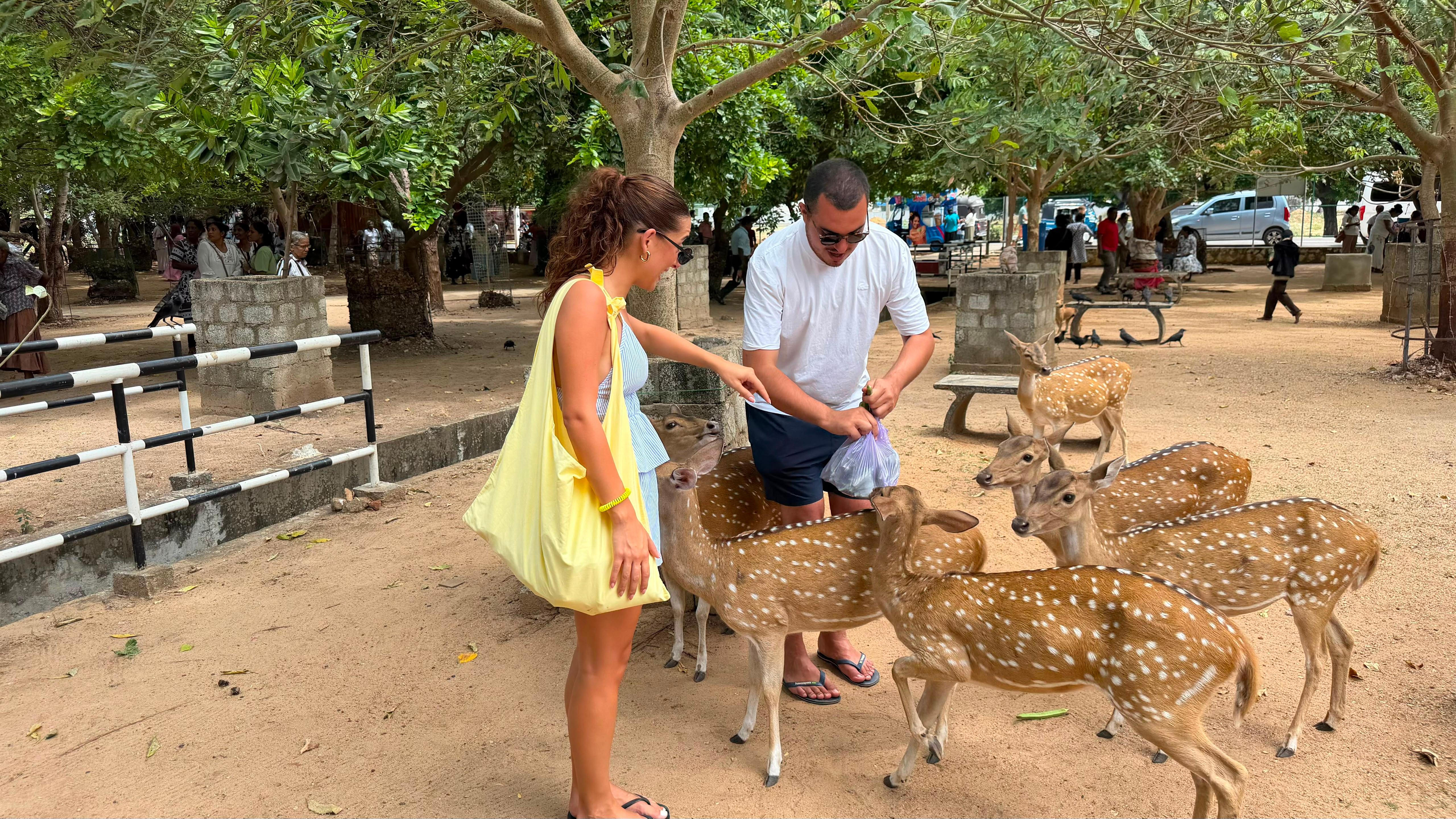 Trincomalee Private Tuk Tuk City Tour with Local Driver