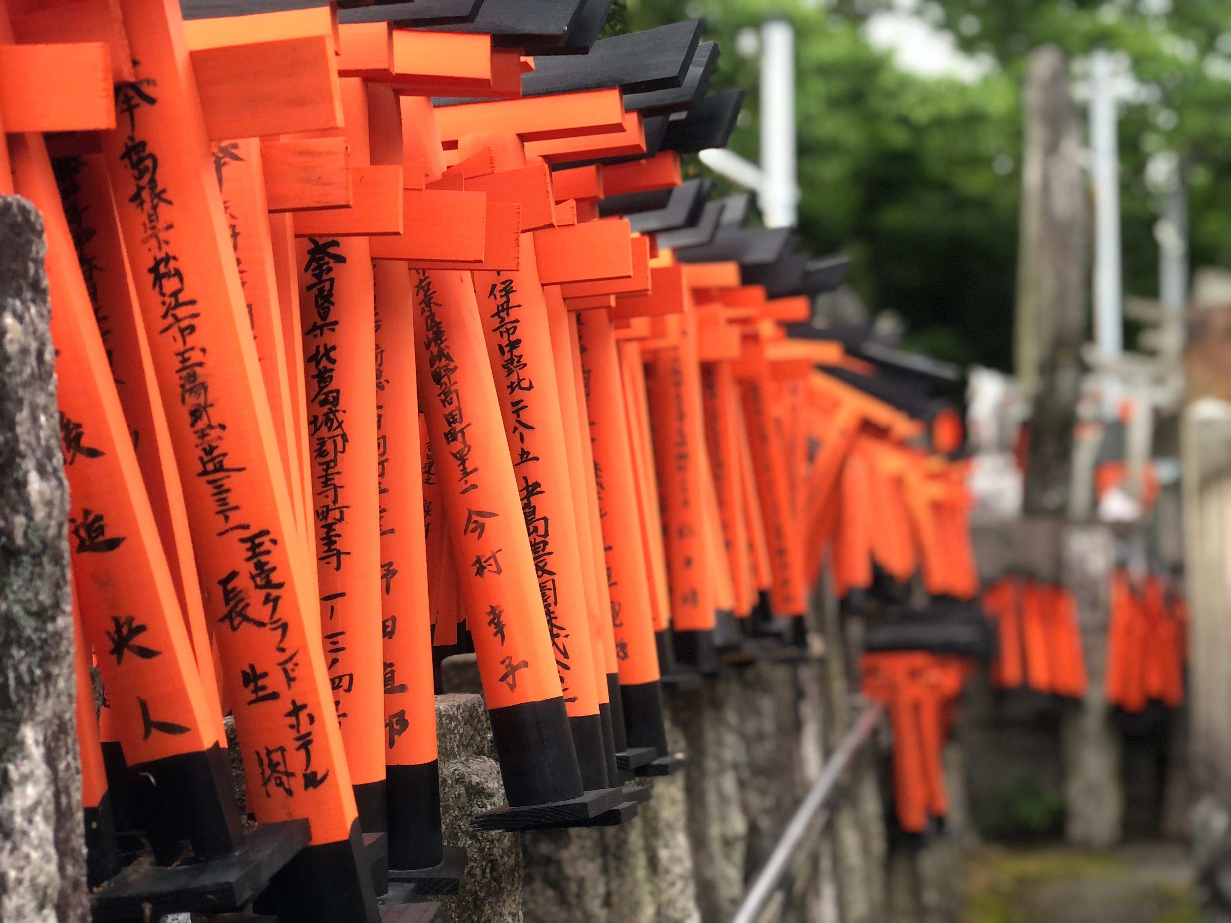 Private Customizable Kyoto Tour with Local Guide