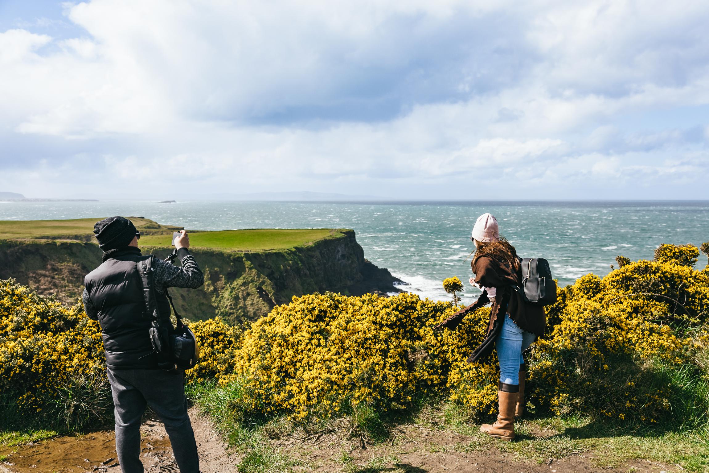 Giant's Causeway Tour from Belfast — image 18