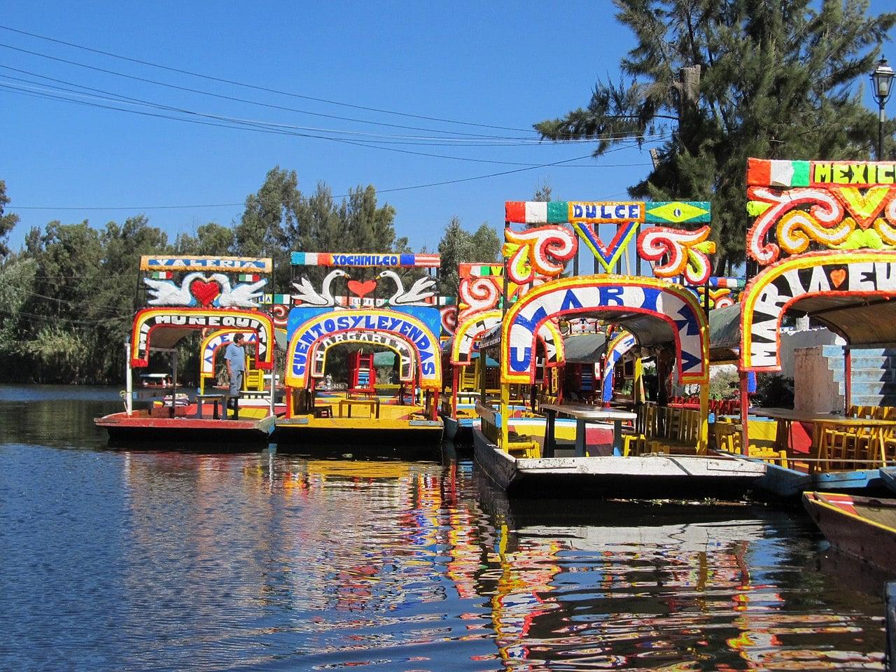 Mexico City Cultural Full-Day Tour: Xochimilco, UNAM & Coyoacán