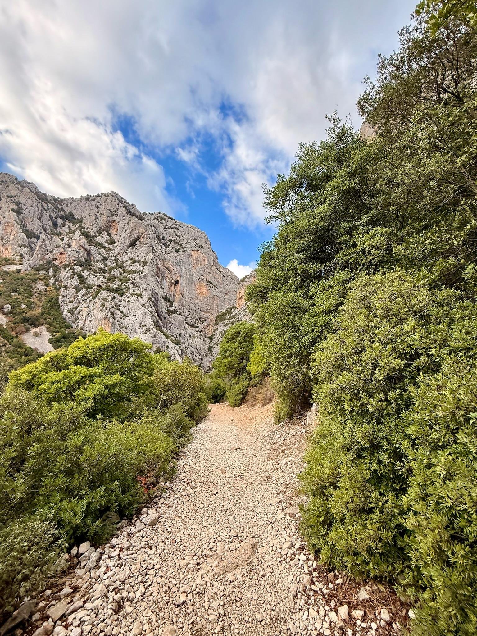 Dorgali: Gorropu Canyon Trek with Off-Road Transfer & Lunch - Gorropu Canyon, Sardinia