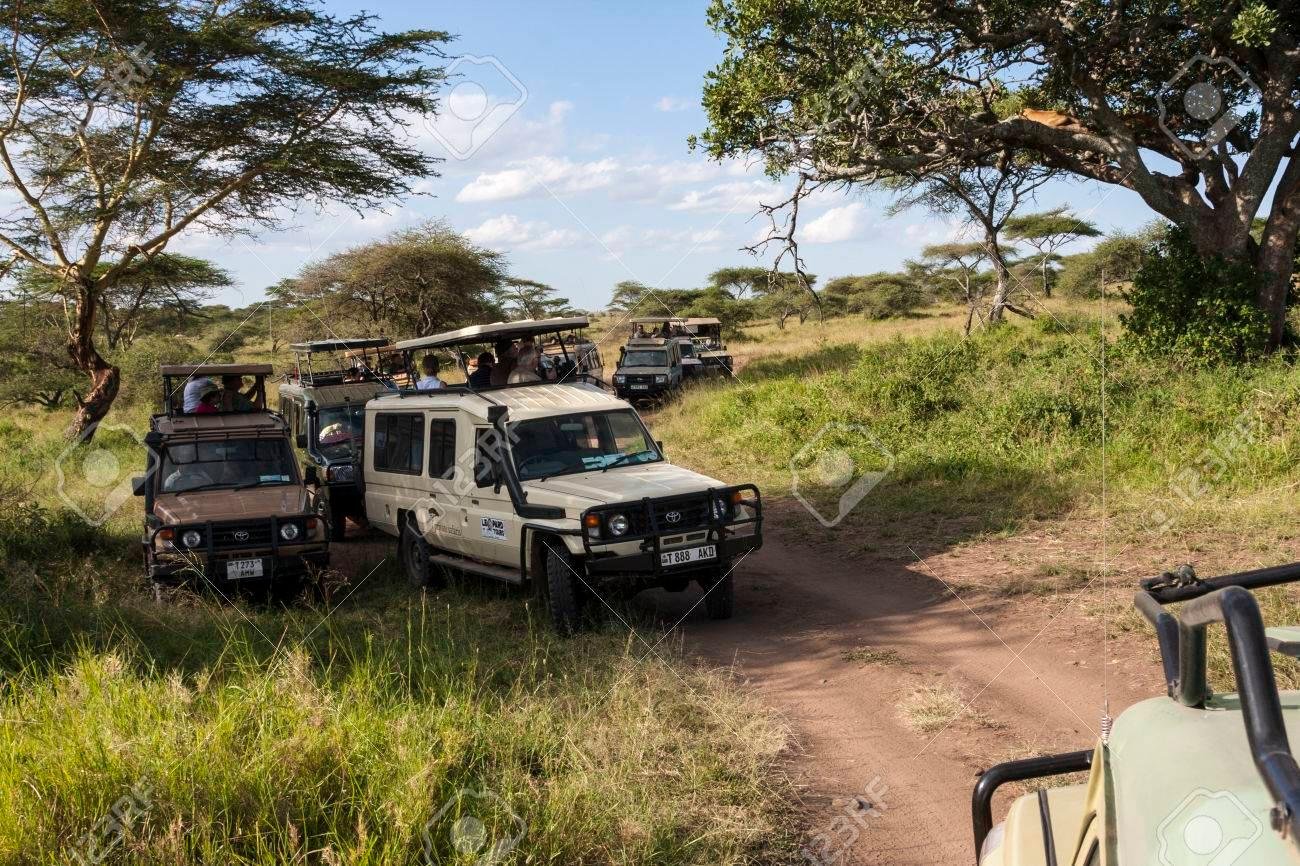 Akagera National Park Full-Day Safari with Lunch