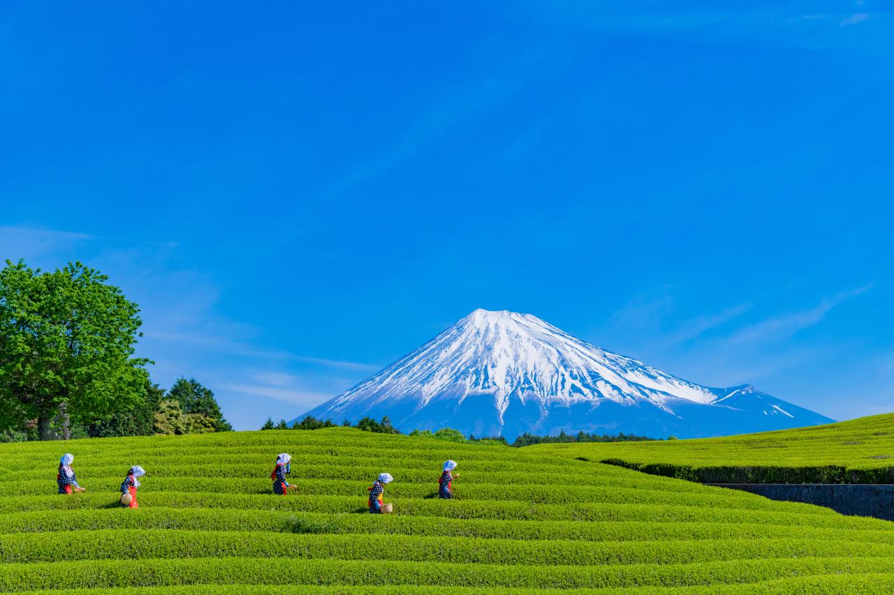 Mount Fuji Full-Day Tour from Tokyo: Two Routes, One Iconic Mountain