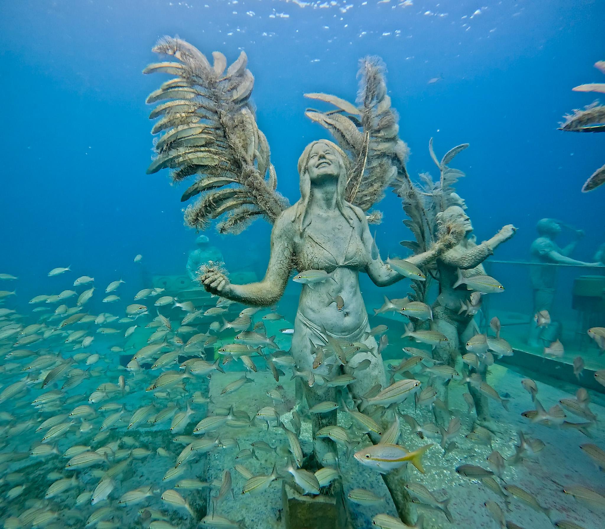 Underwater Sculpture Park Snorkel Tour