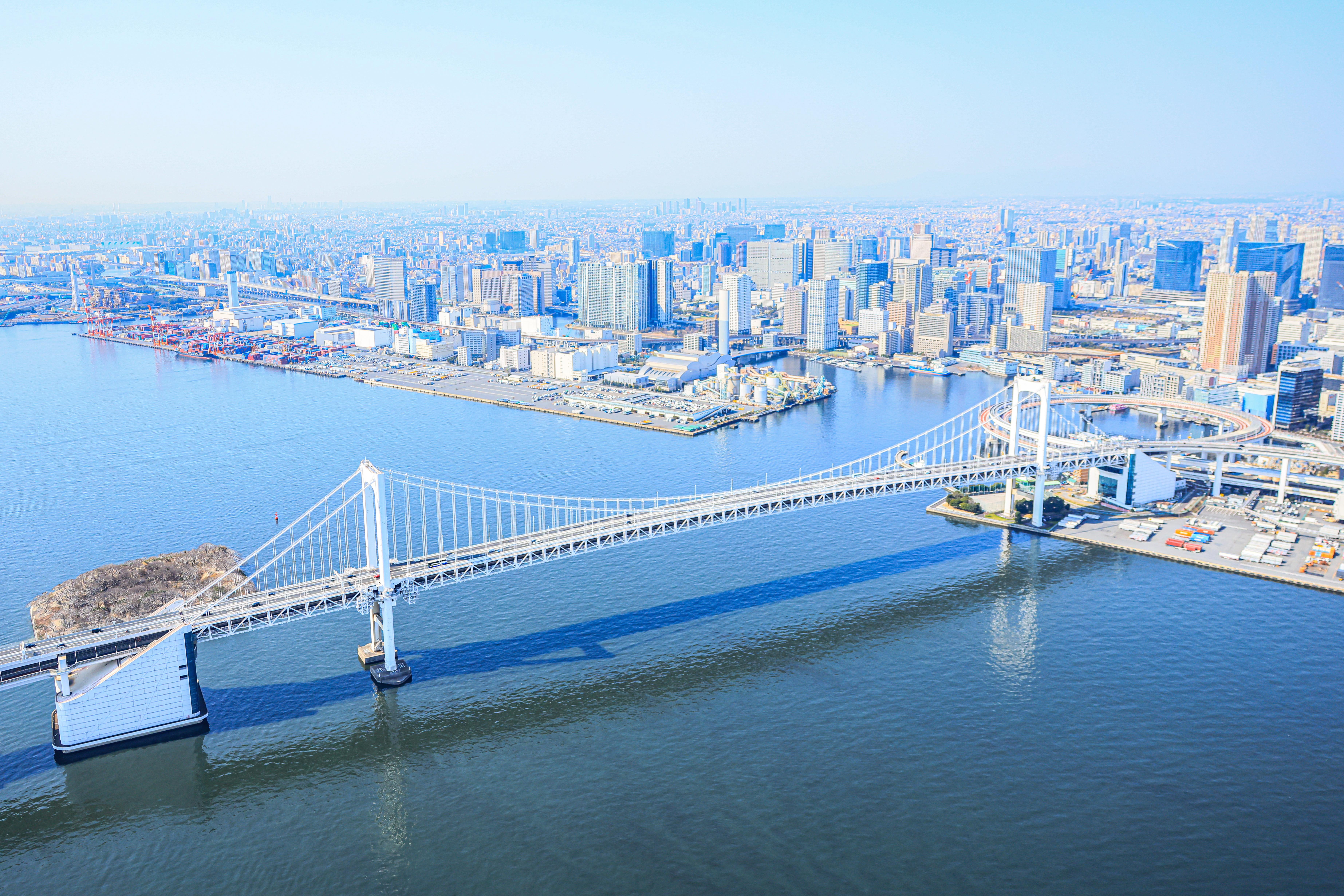 private helicopter tour over Tokyo — image 4