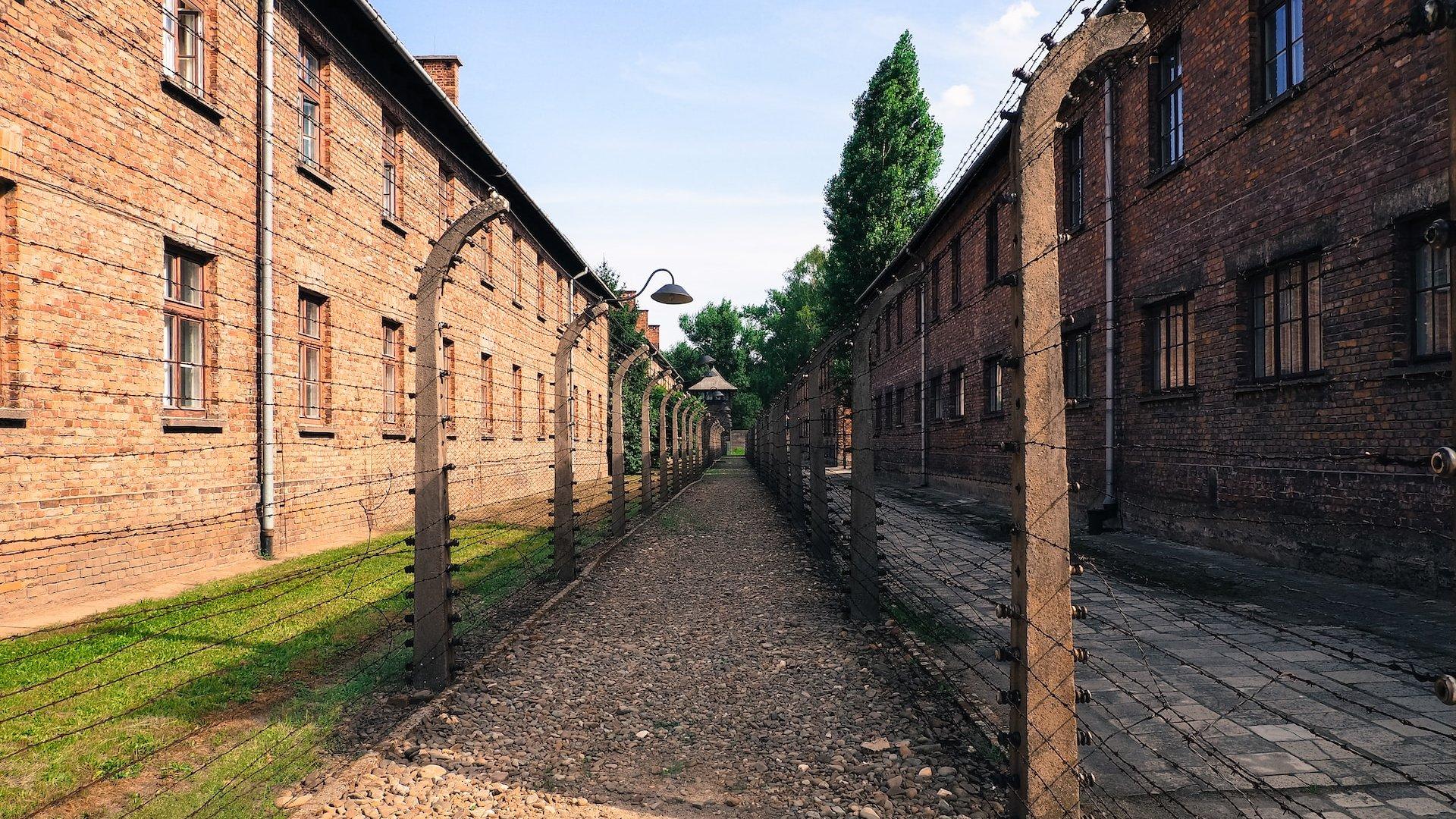 Krakow: Auschwitz-Birkenau Memorial Private Transfer Tour
