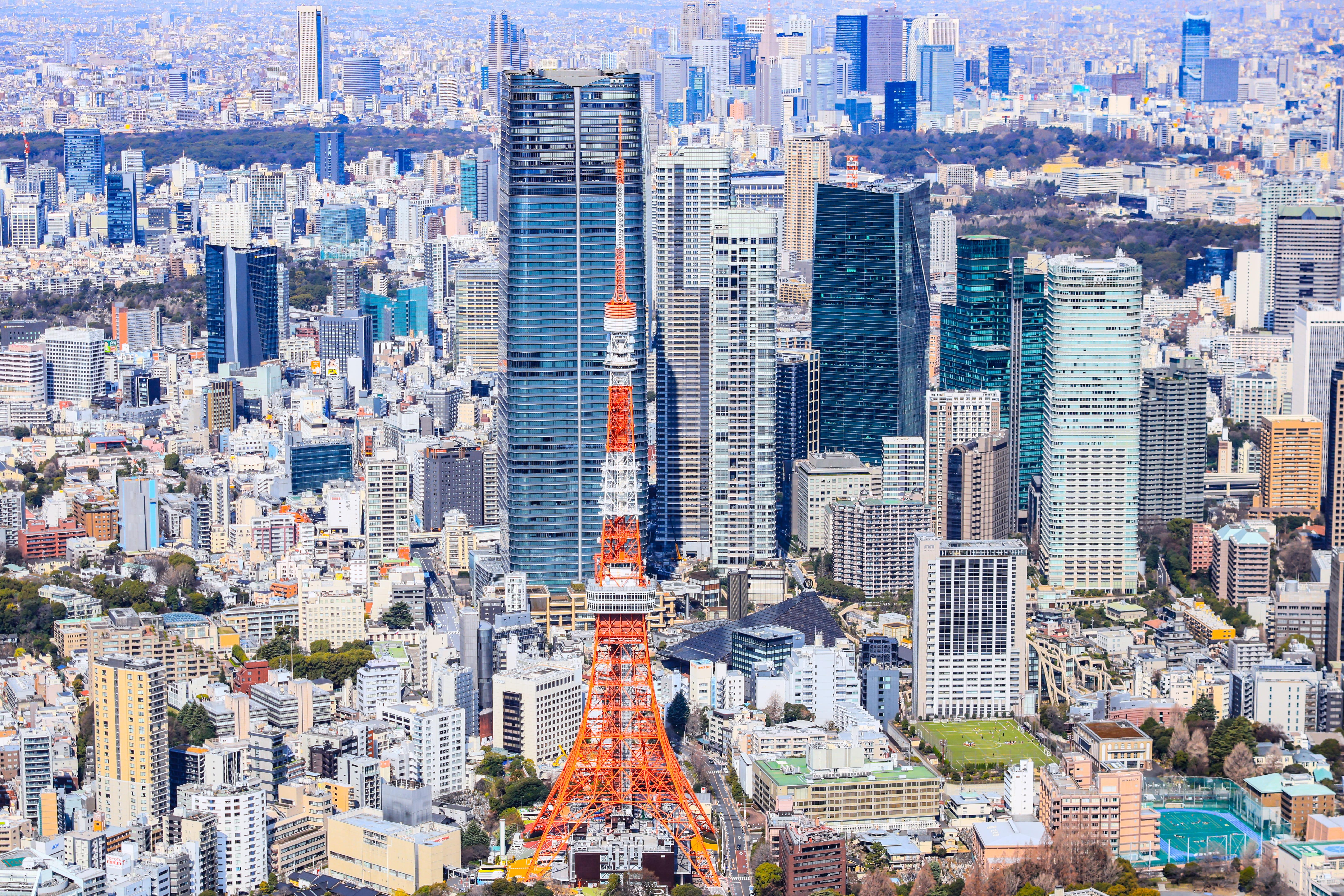 private helicopter tour over Tokyo — image 1