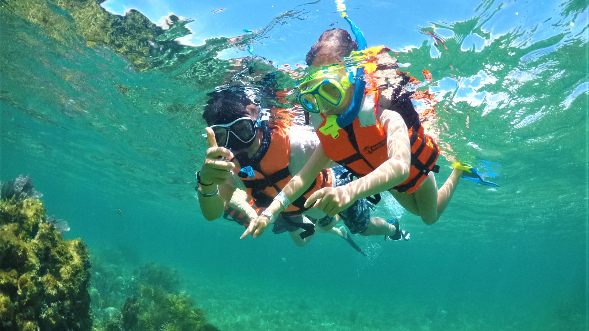 Puerto Morelos Reef Snorkeling Adventure