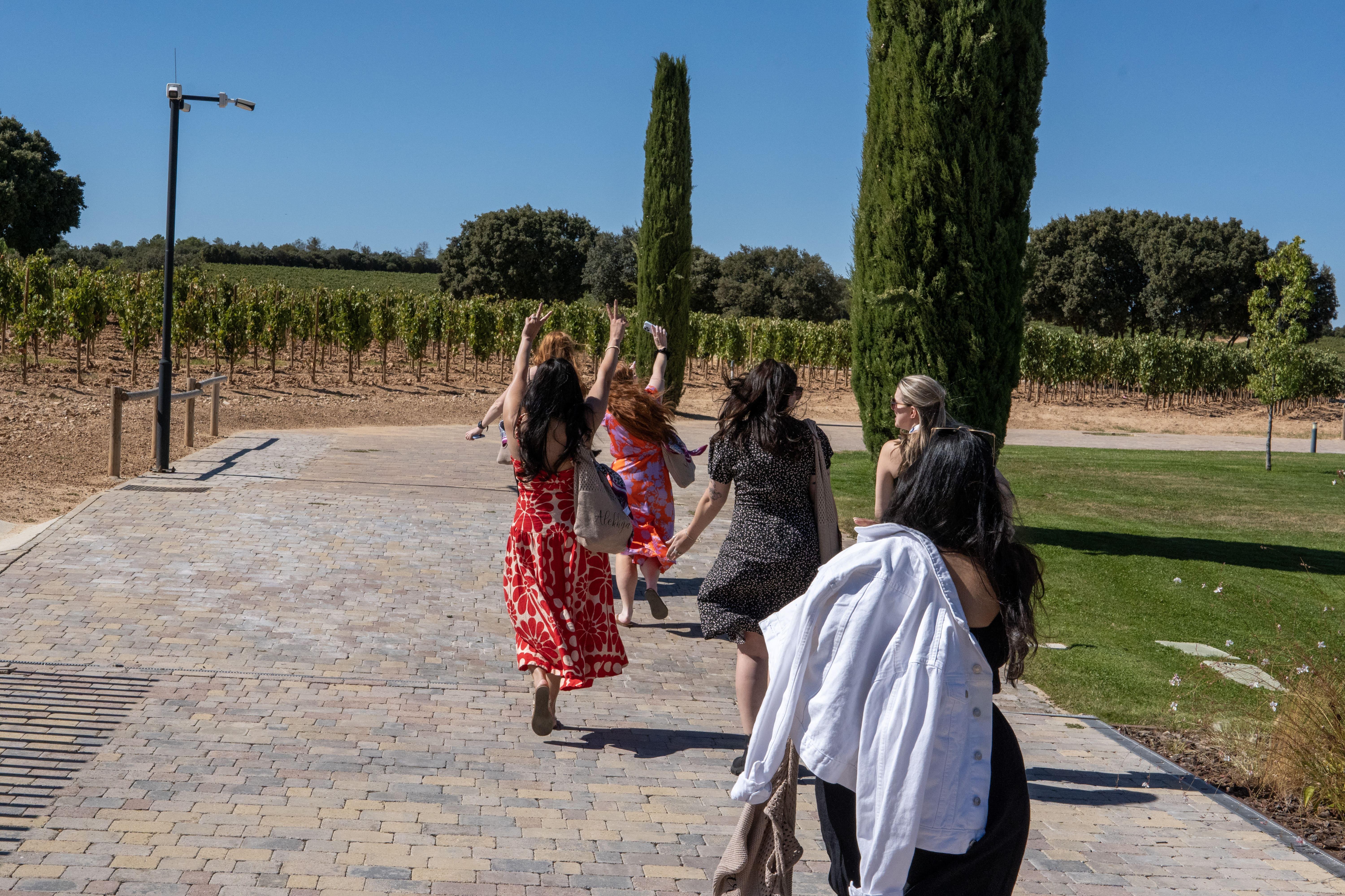 wine tour in Ribera del Duero — photo 15