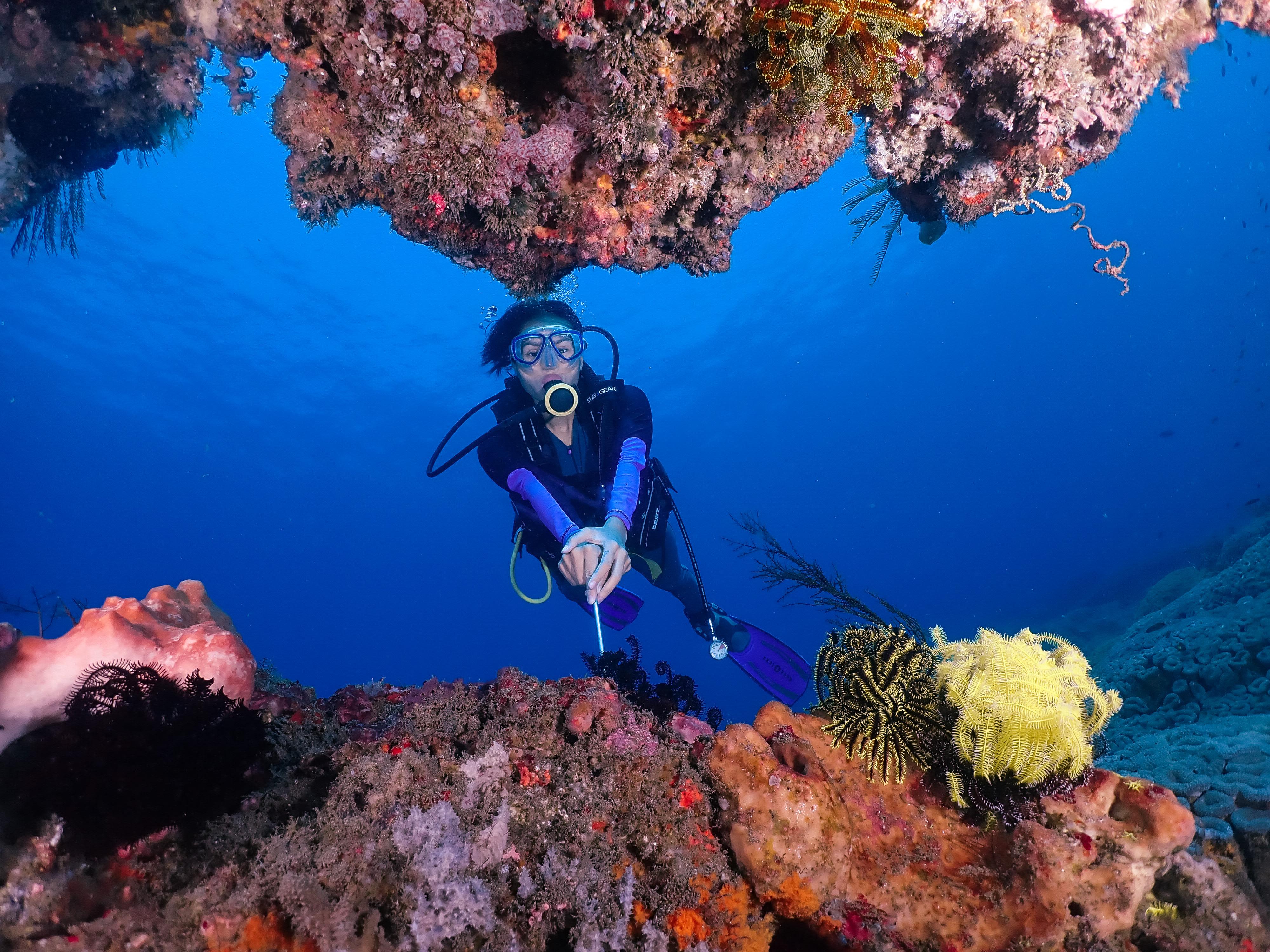 Beginner Scuba Diving in Padang Bai with Media Package