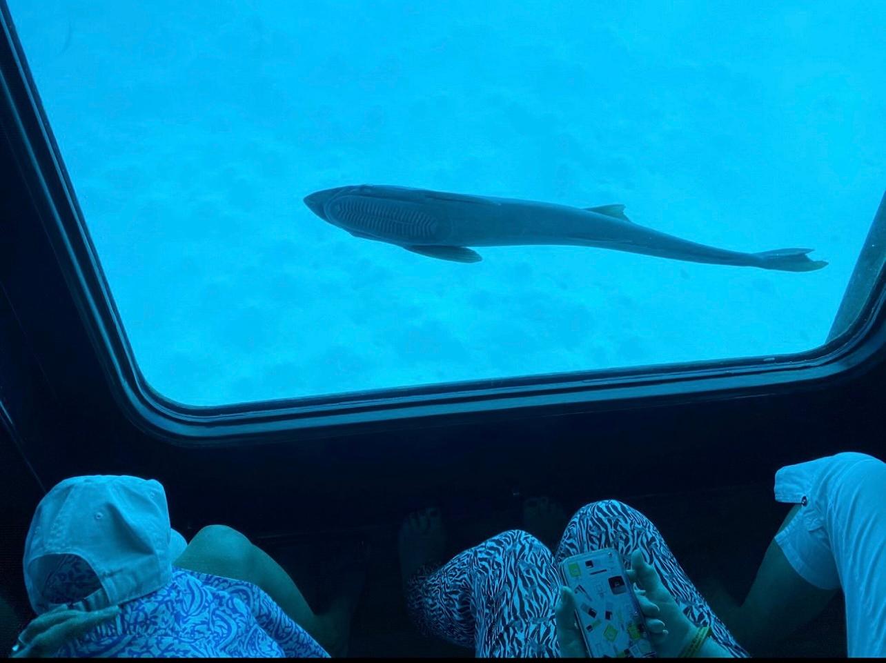 Sharm El-Sheikh Seascope Semi-Submarine Reef Cruise