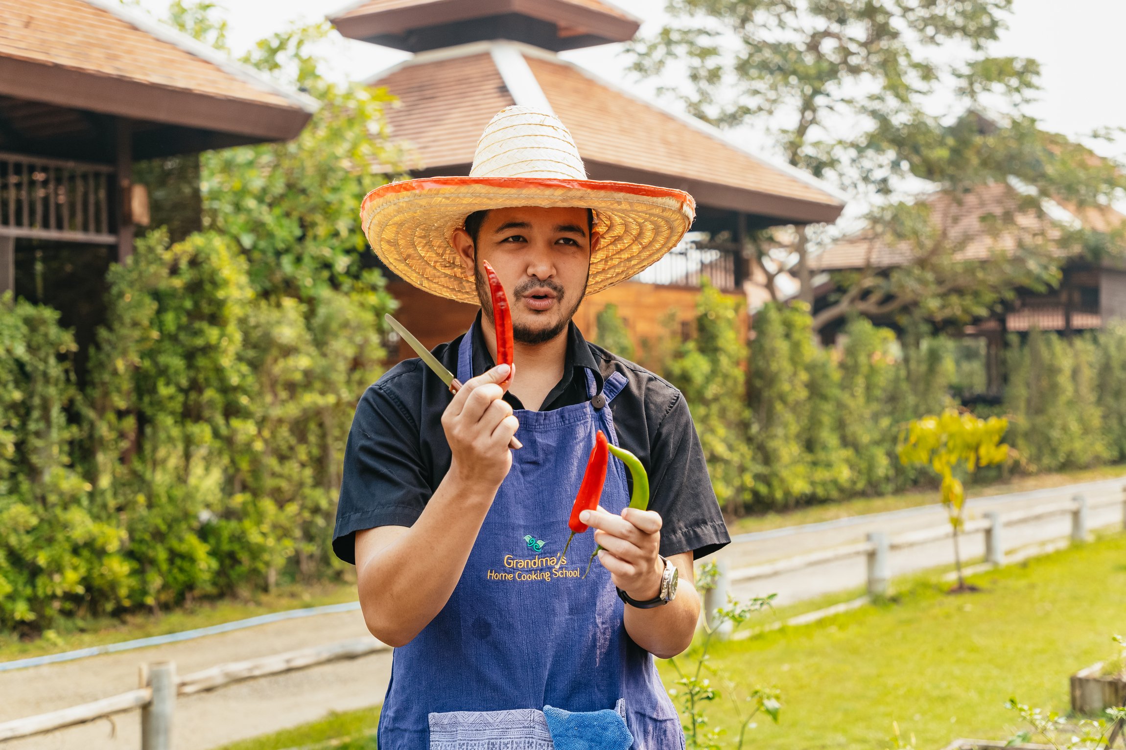Thai Cooking Class in Chiang Mai — image 28