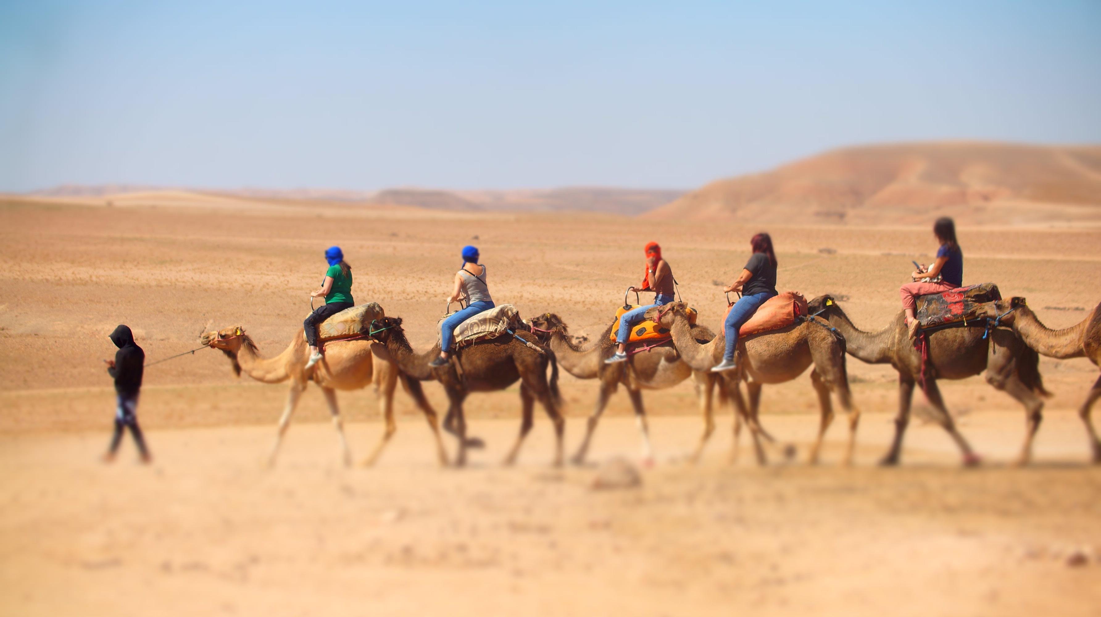 Agafay Desert Day Trip: Quad Biking, Camel Ride, Lunch & Pool