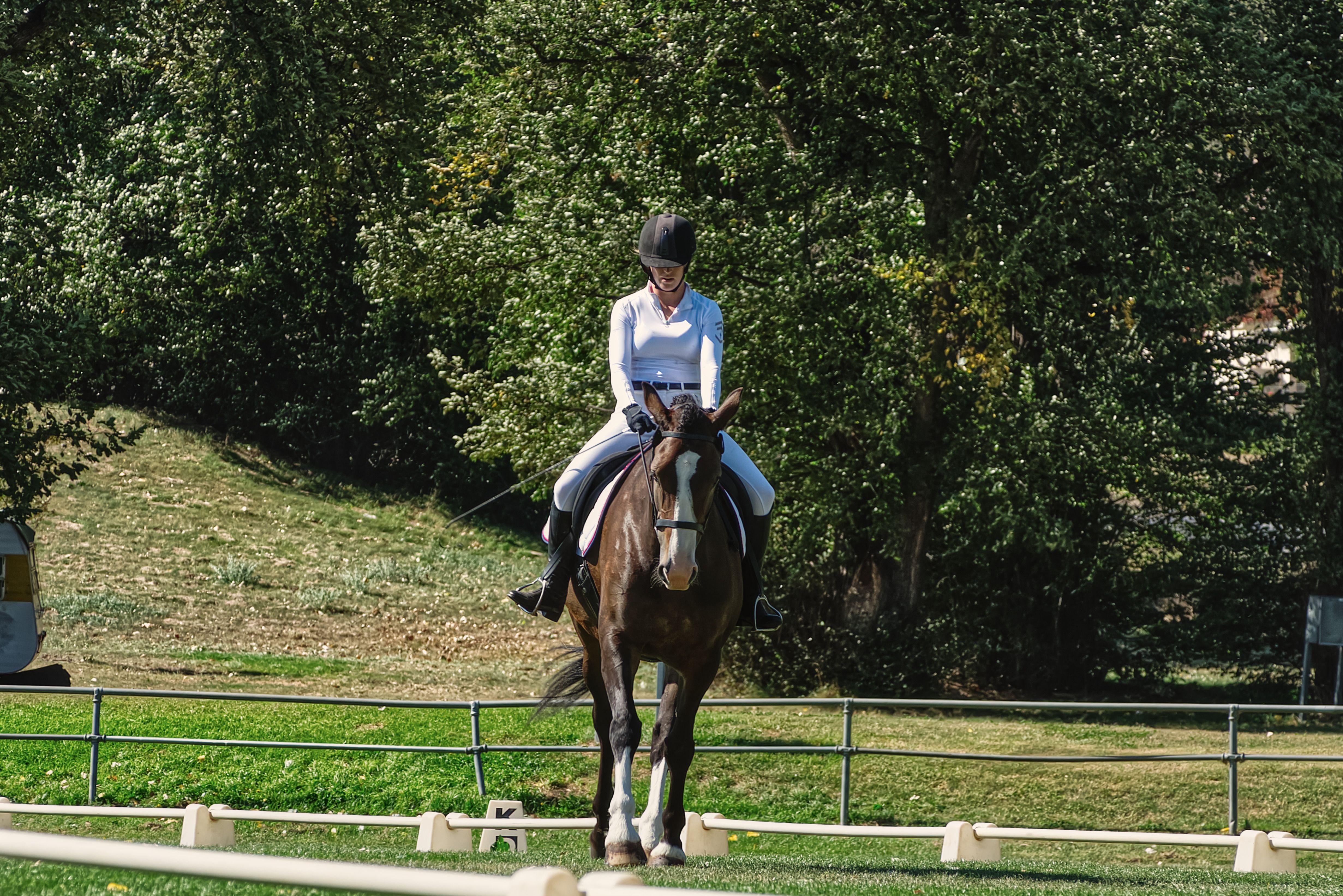 Windsor: Horse Riding Adventure Through Great Park - 2026 (Verified Reviews)