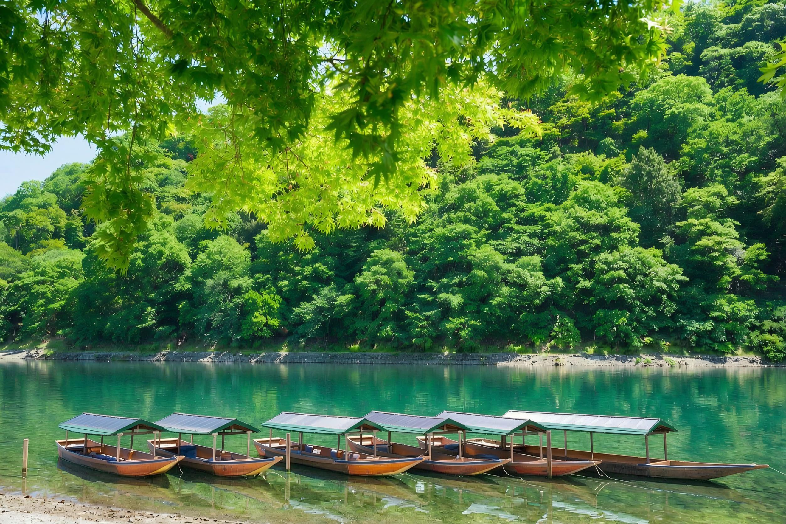 Kyoto & Arashiyama Cultural Explorer Day Trip