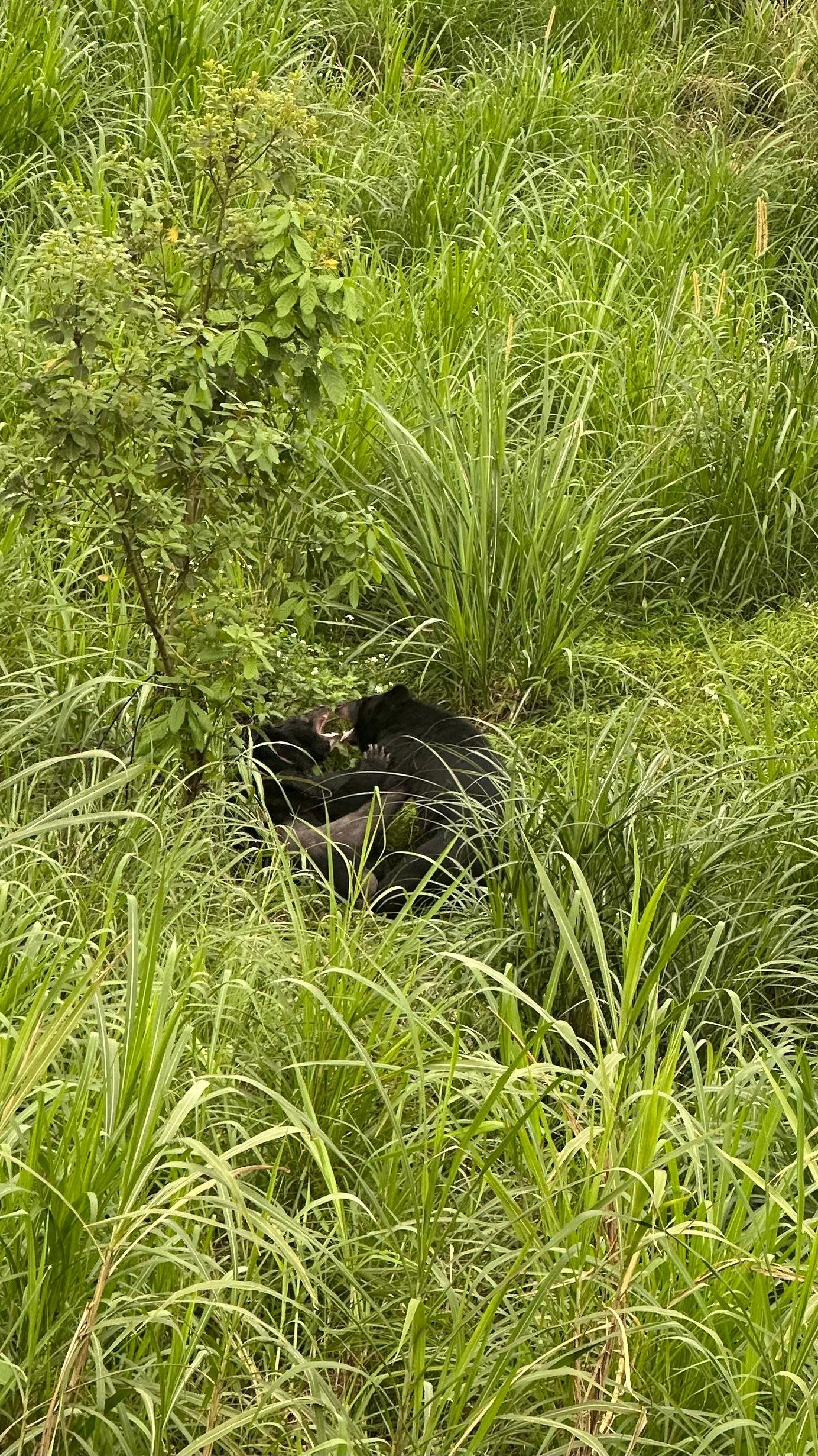 Cuc Phuong National Park Day Trek & Bear Sanctuary from Ninh Binh