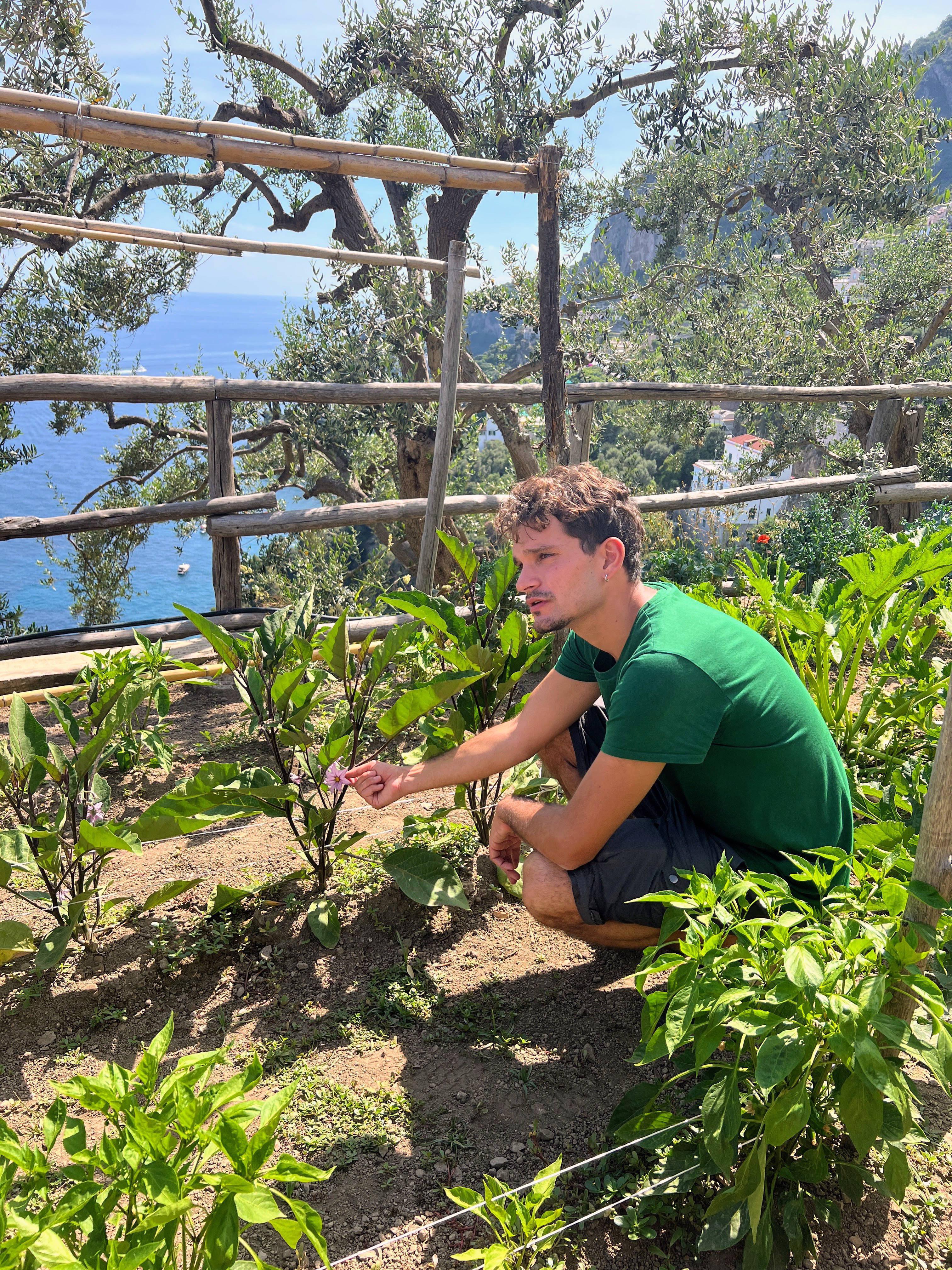 Amalfi Coast Farmhouse Cooking Class & Garden Tour