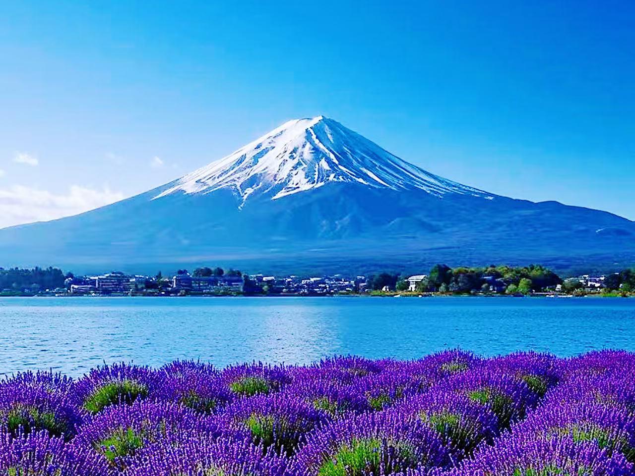 Mt. Fuji & Lake Kawaguchiko Full-Day Tour with Ropeway & Matcha