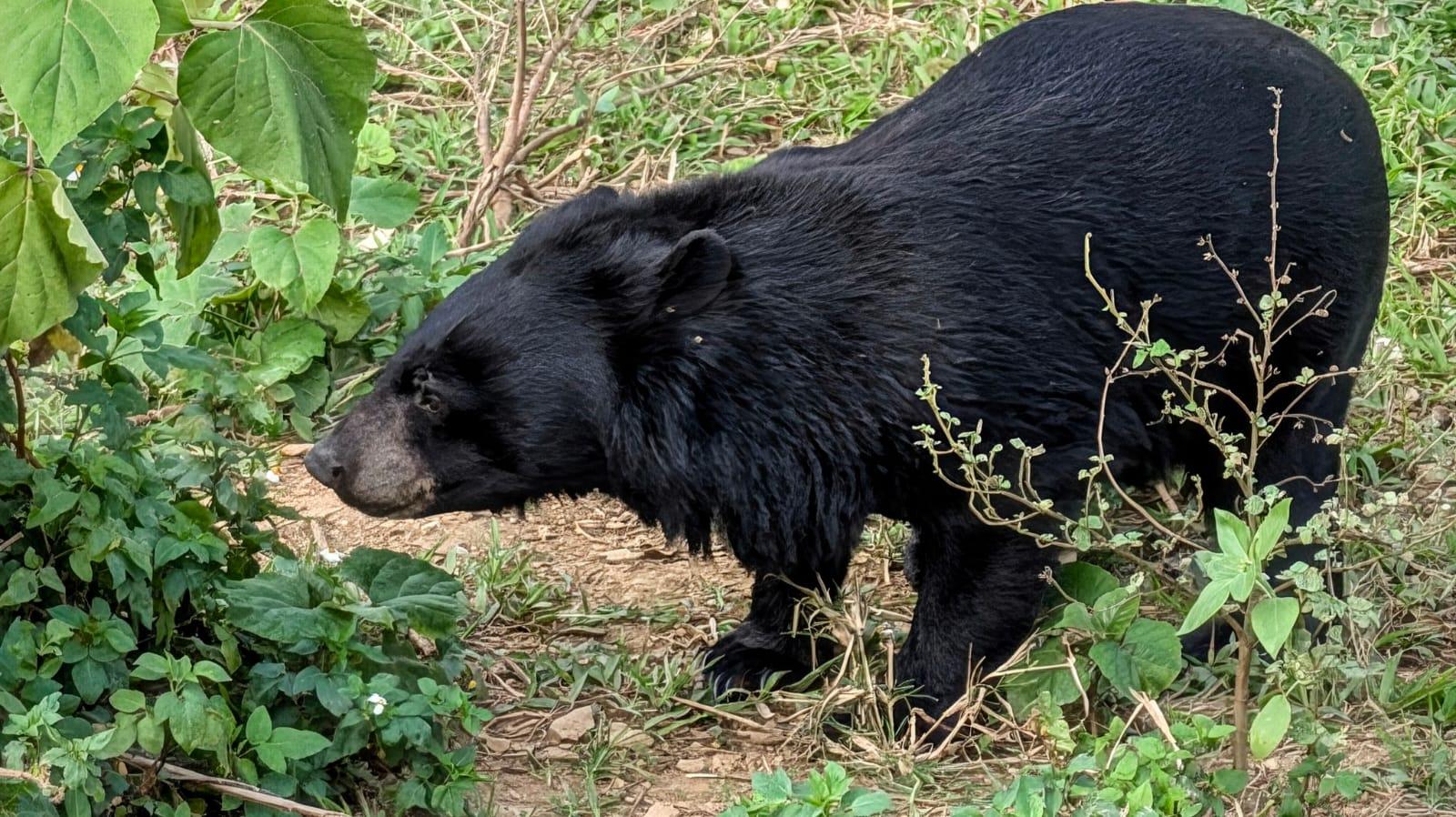 Cuc Phuong National Park Day Trek & Bear Sanctuary from Ninh Binh