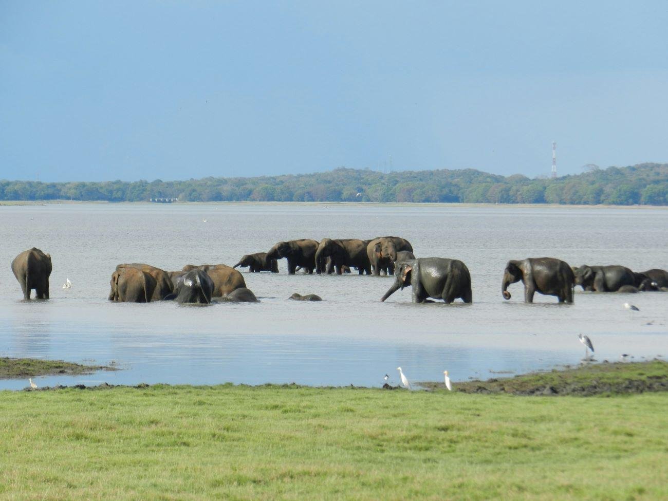 7-Day Private Sri Lanka Highlights Tour (2026)