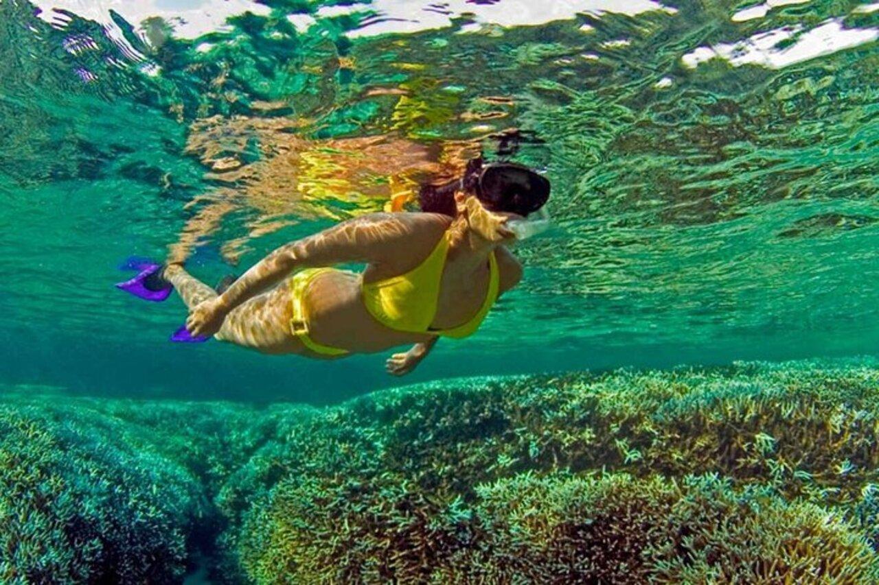Pigeon Island Snorkeling Adventure from Trincomalee