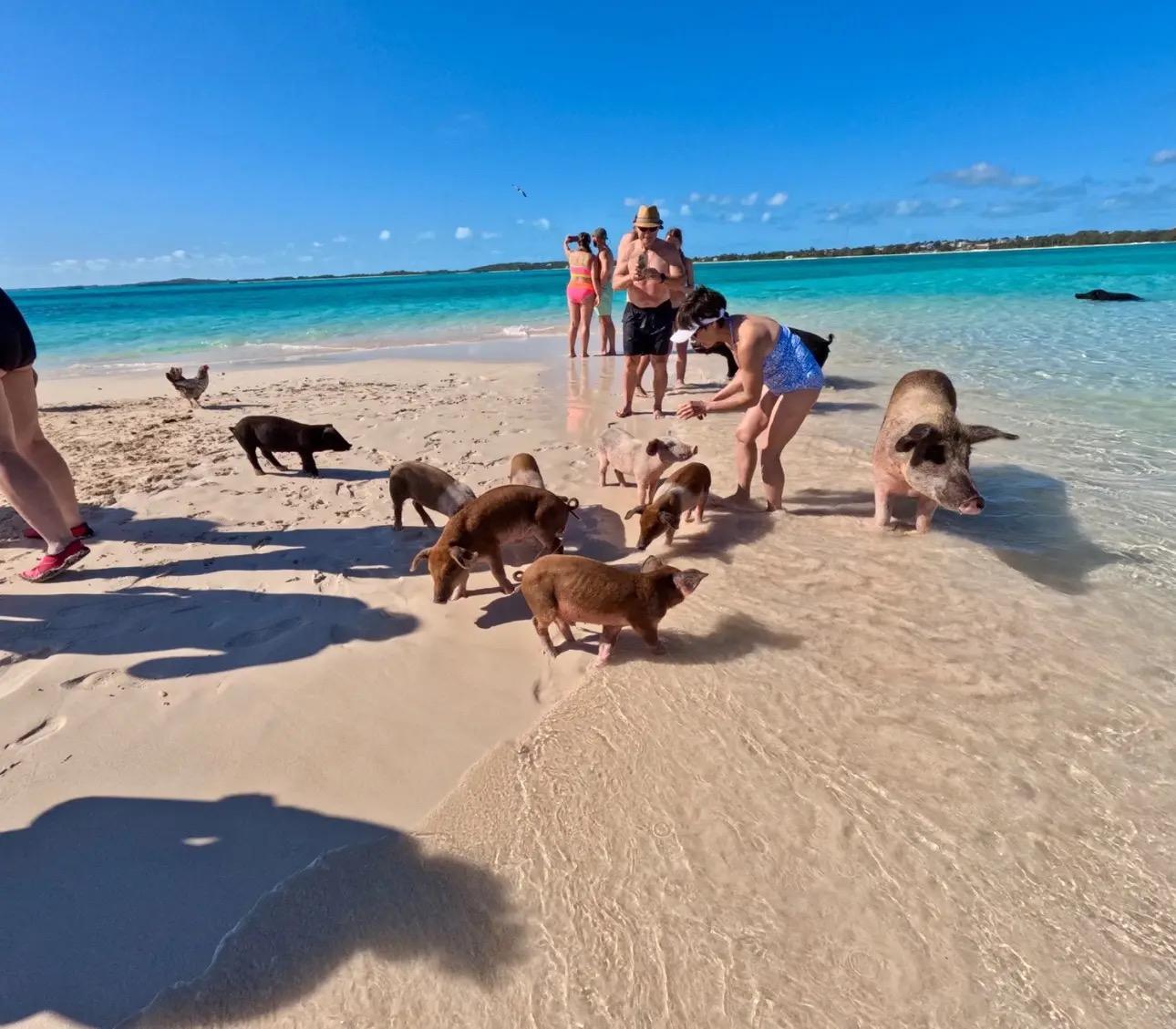 Nassau Private Boat & Snorkel Adventure