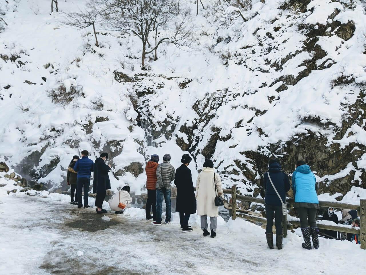 Snow Monkeys, Zenko-ji Temple & Sake Tasting Day Trip from Nozawa Onsen