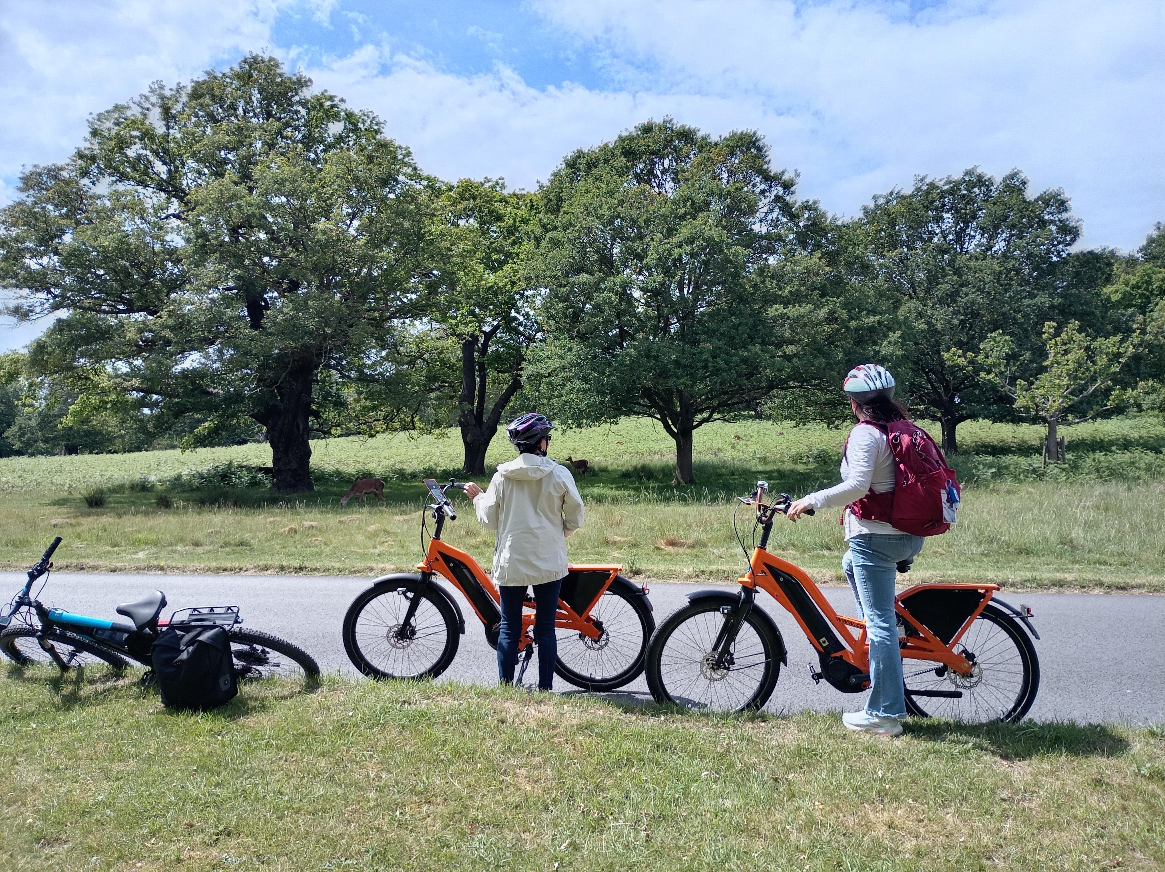 Battersea to Richmond Park E-Bike Adventure