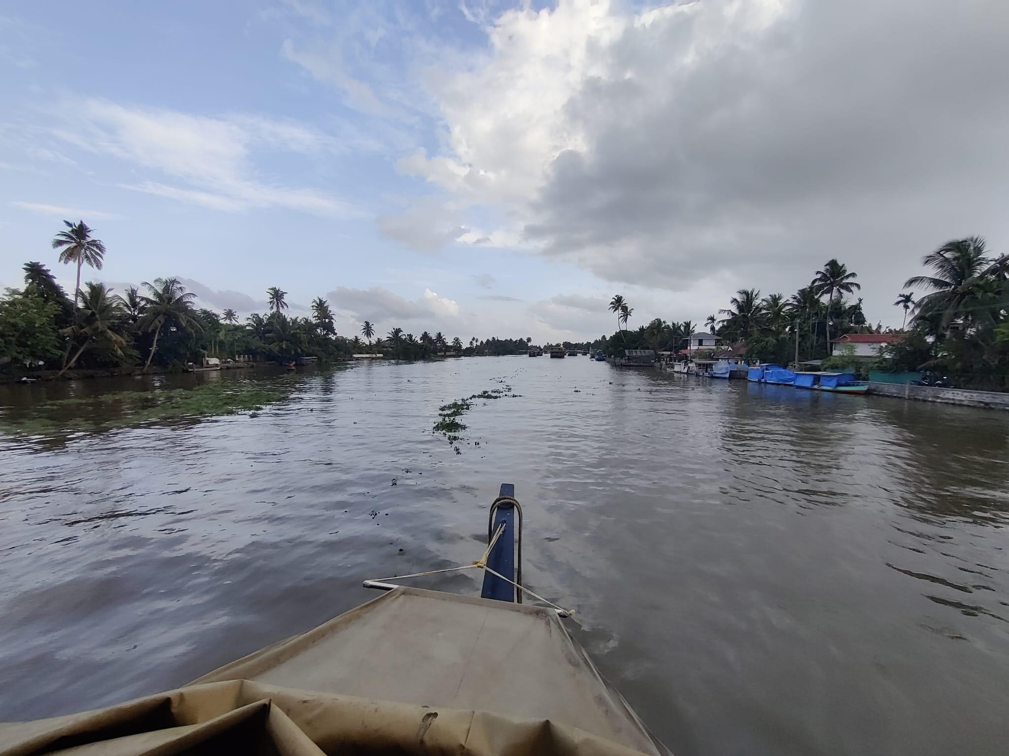 5-Day Kerala Escape: Munnar Hills, Thekkady Wildlife & Alleppey Houseboat