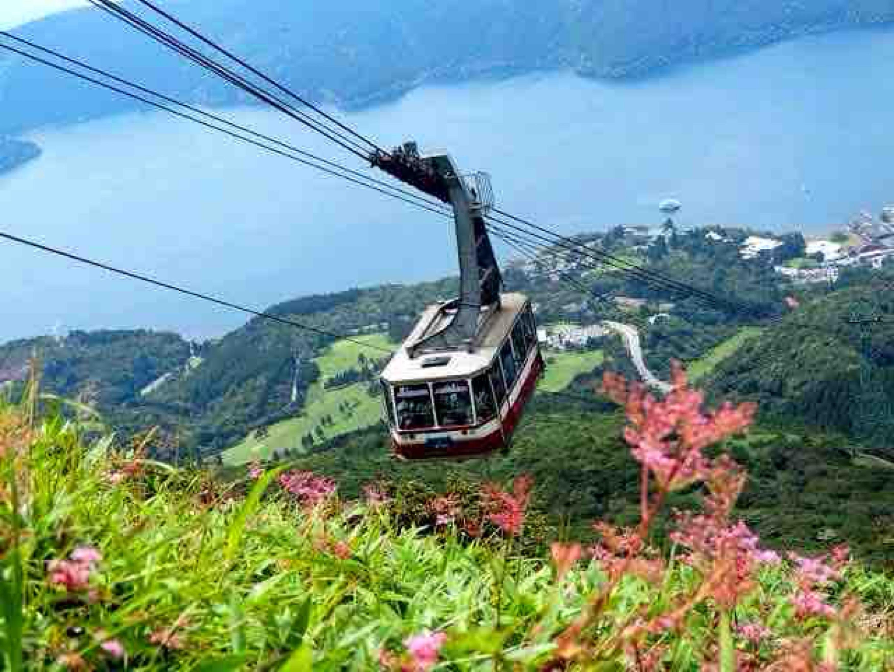 Mount Fuji Private Day Tour from Tokyo with English-Speaking Driver