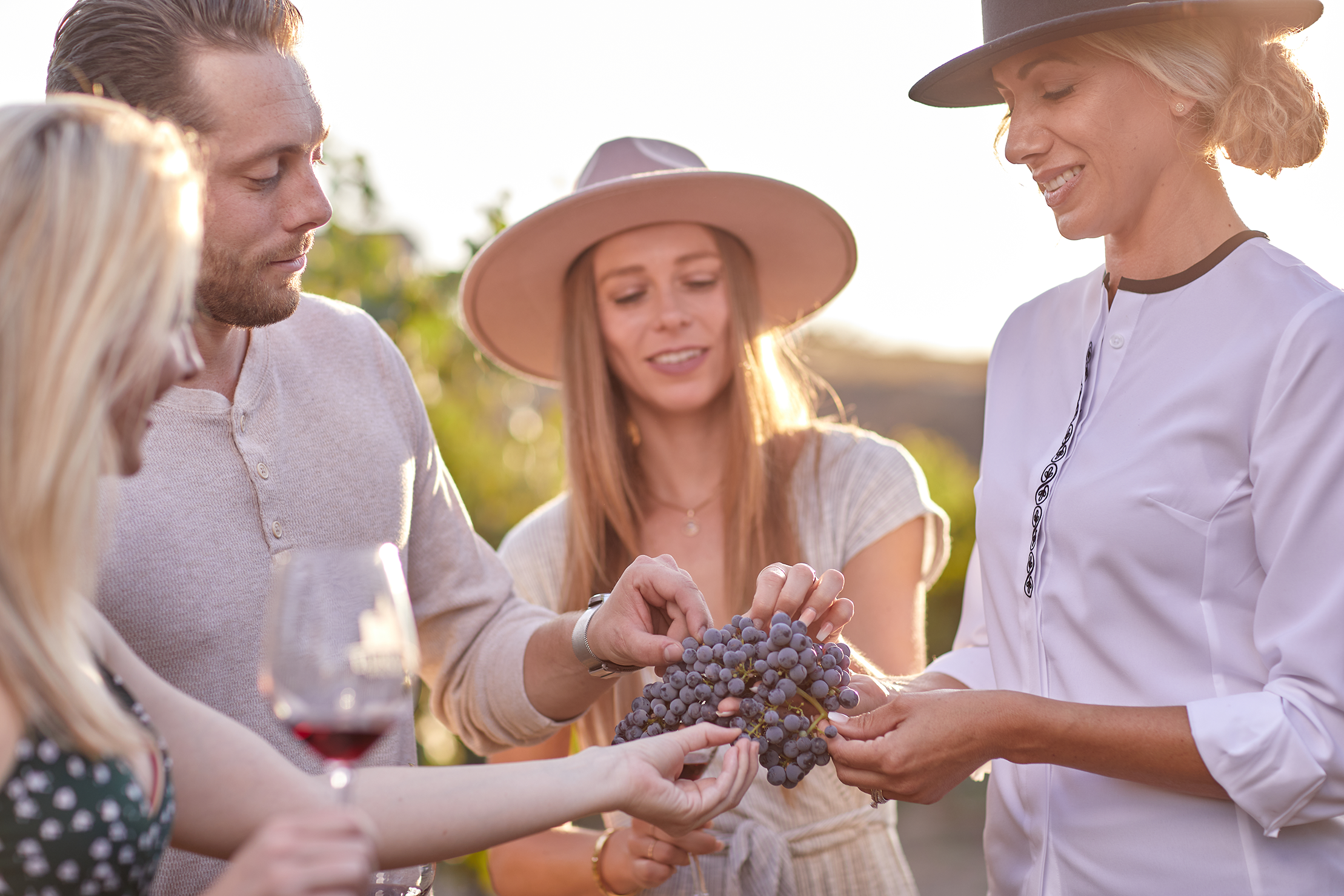 Europa Village Winery Tour with Tastings & Food Pairings