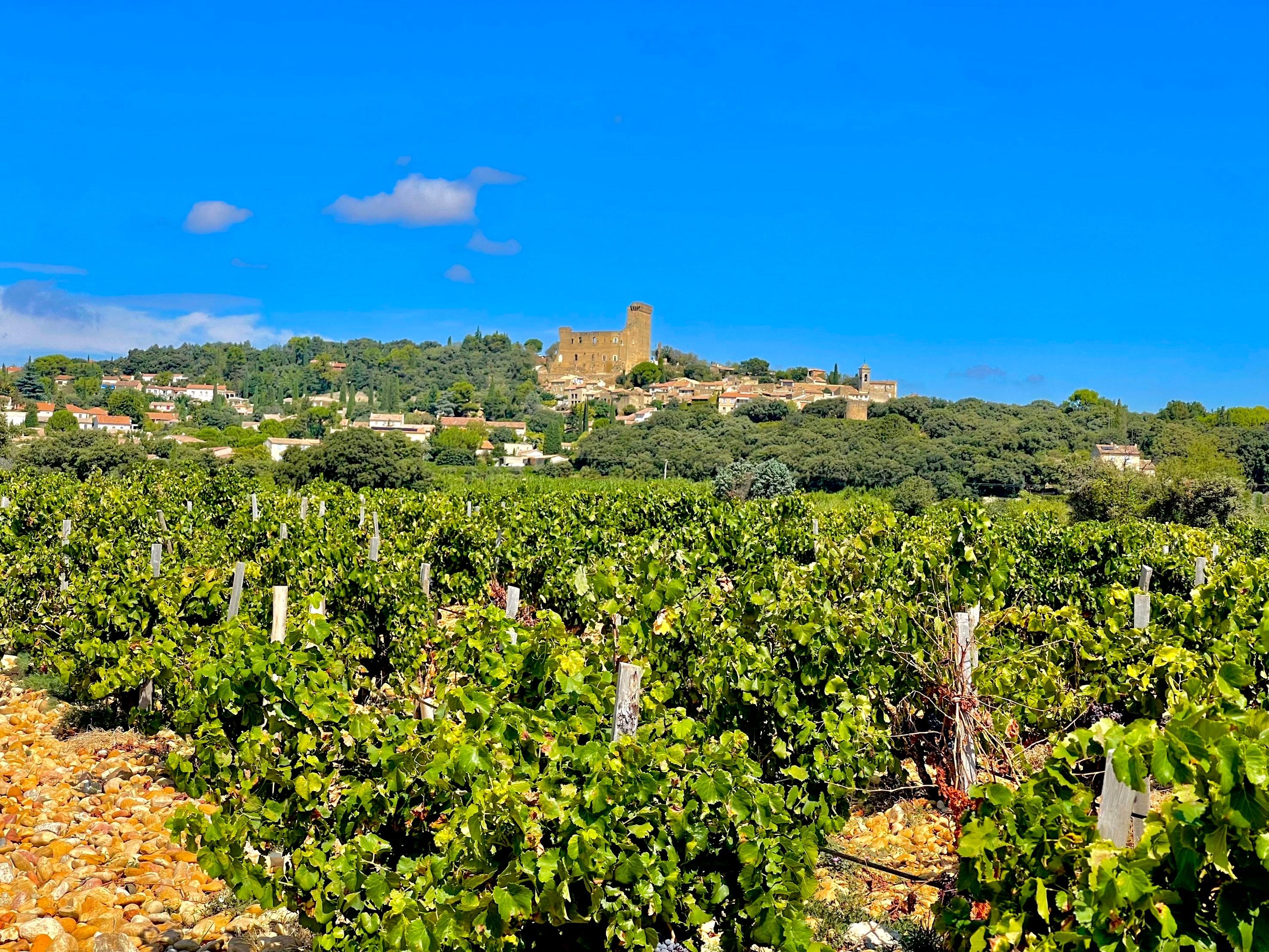 Southern Rhône Valley Wine Discovery