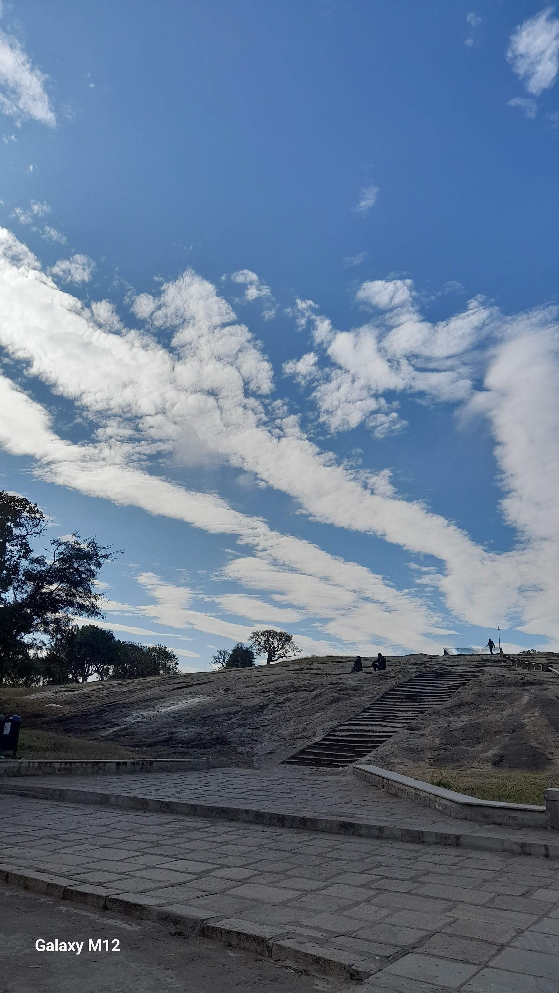 Lalbagh Botanical Garden Nature Walk & Breakfast
