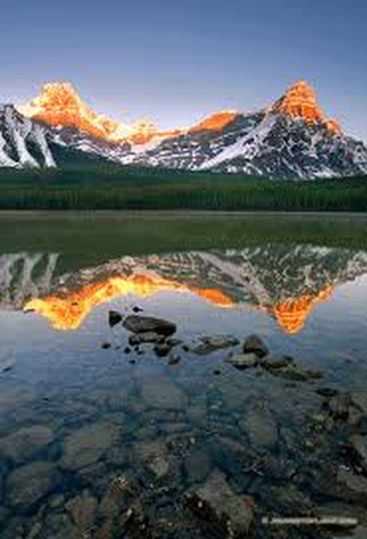 Icefields Parkway tour — Columbia Icefield, Peyto Lake and Bow Lake, Alberta — image 21