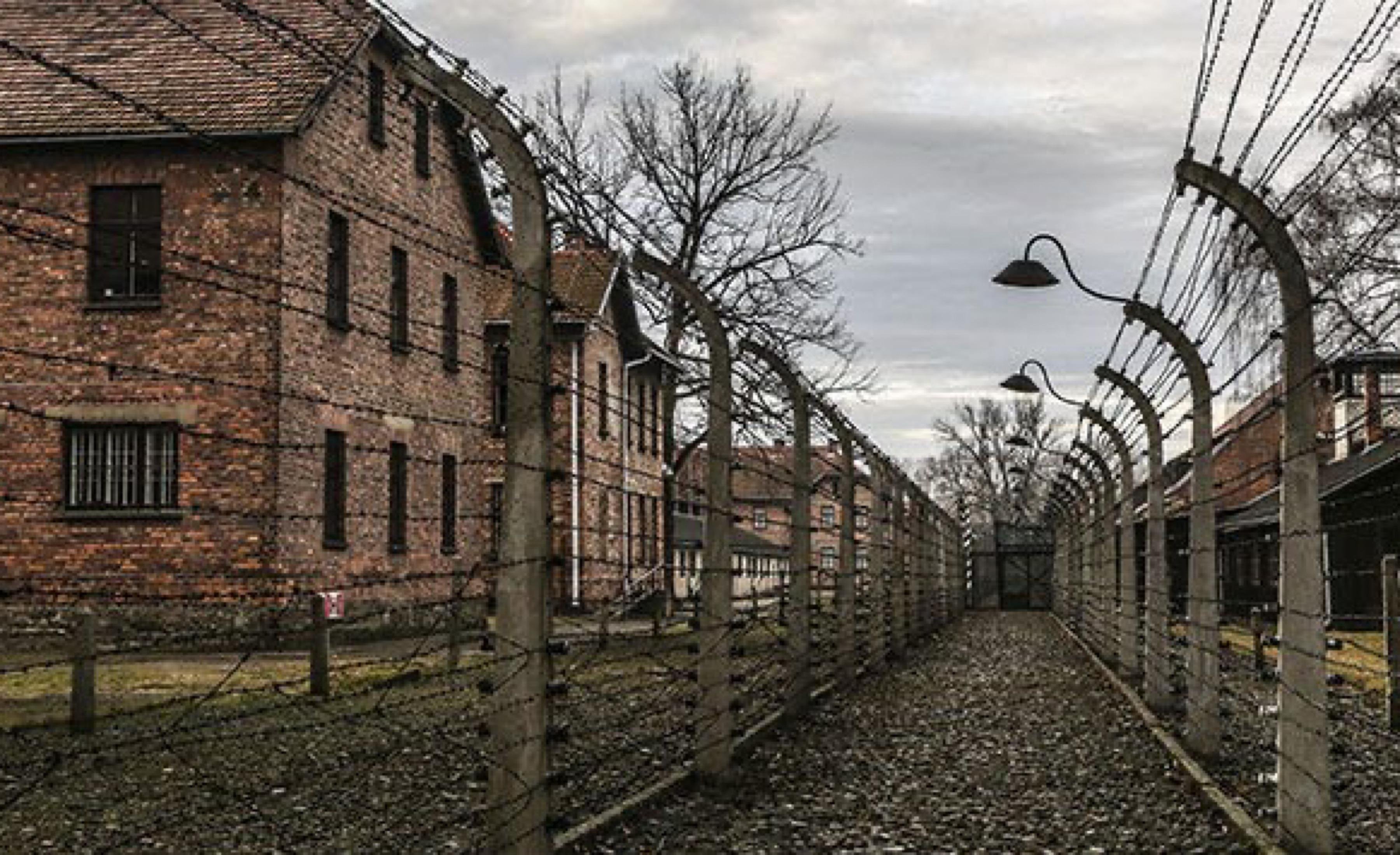 Krakow: Auschwitz-Birkenau Memorial Private Transfer Tour