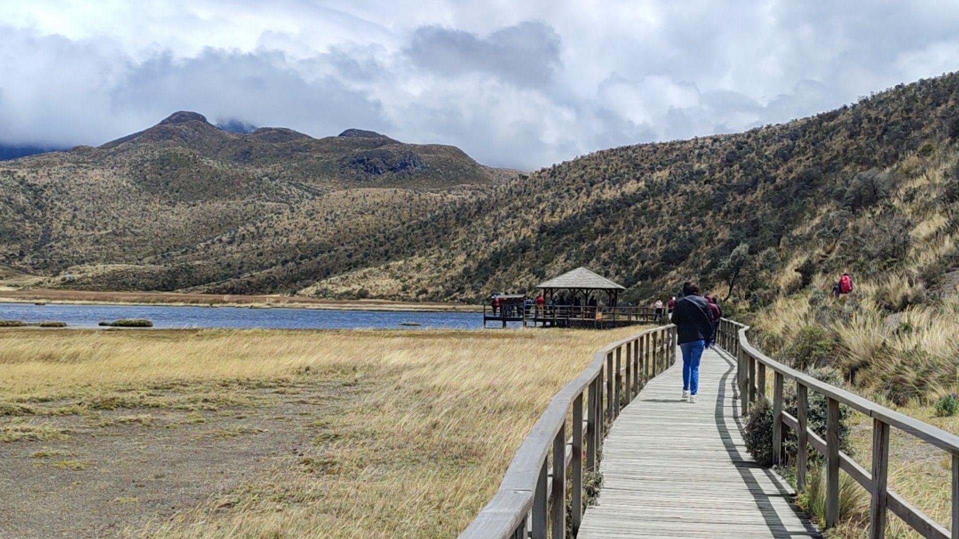 Cotopaxi Volcano Day Trip from Quito with Alpacas & Lagoon