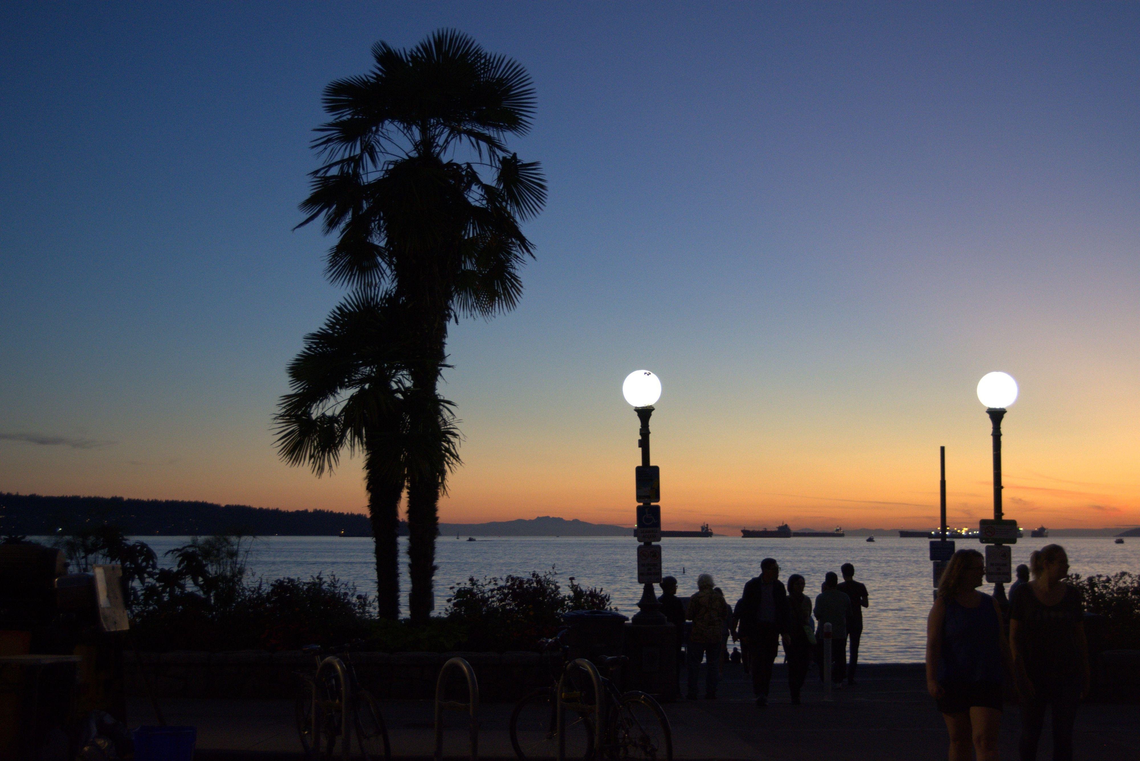 Vancouver Twilight Double-Decker Sightseeing Tour