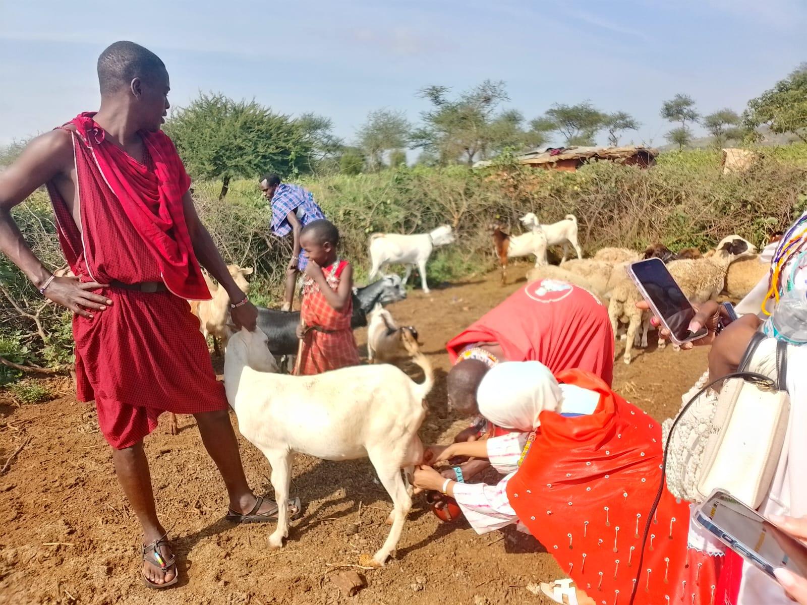Maasai Village Authentic Cultural Immersion