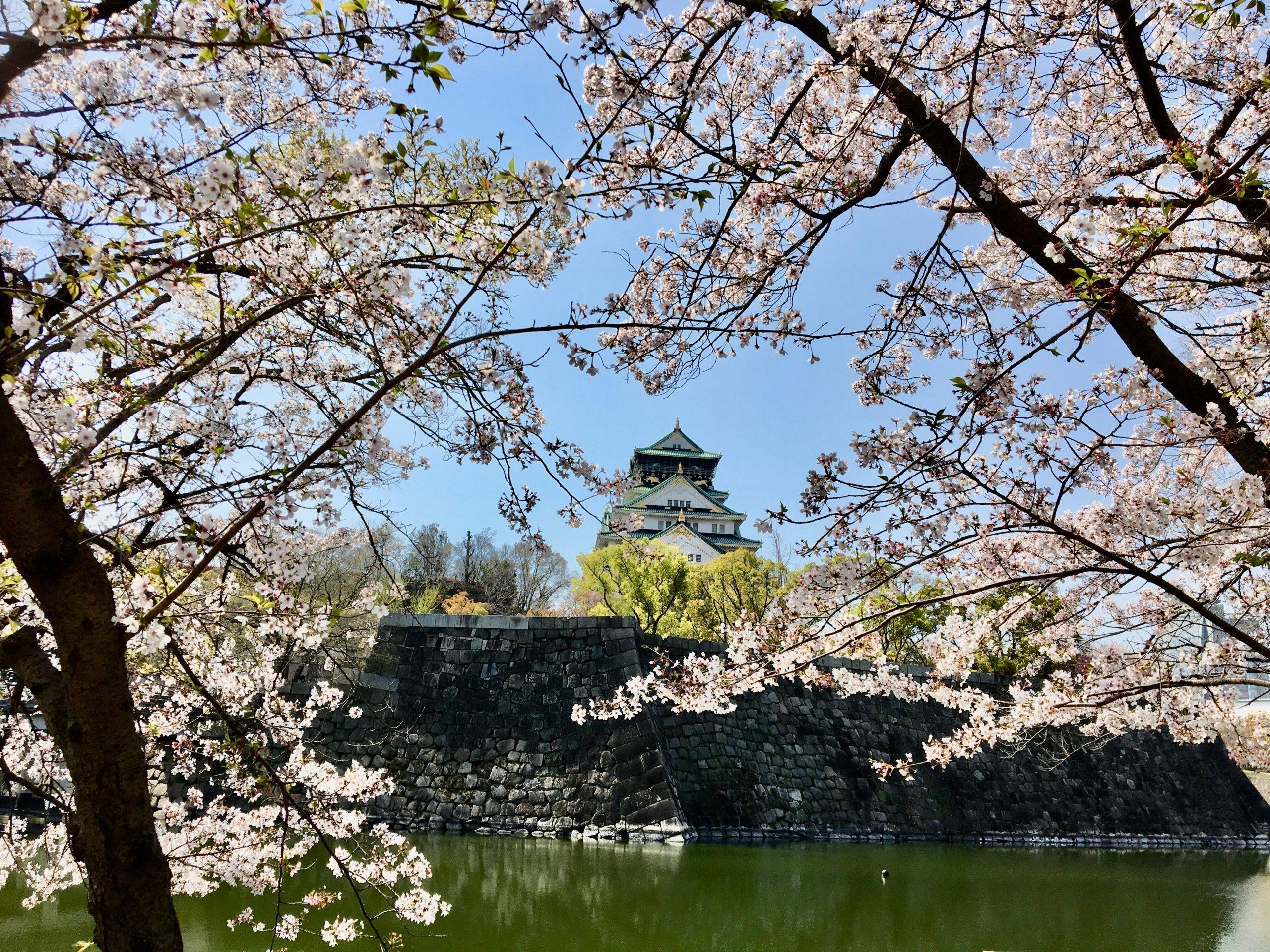 Osaka Castle Private Walking Tour & Historical Journey