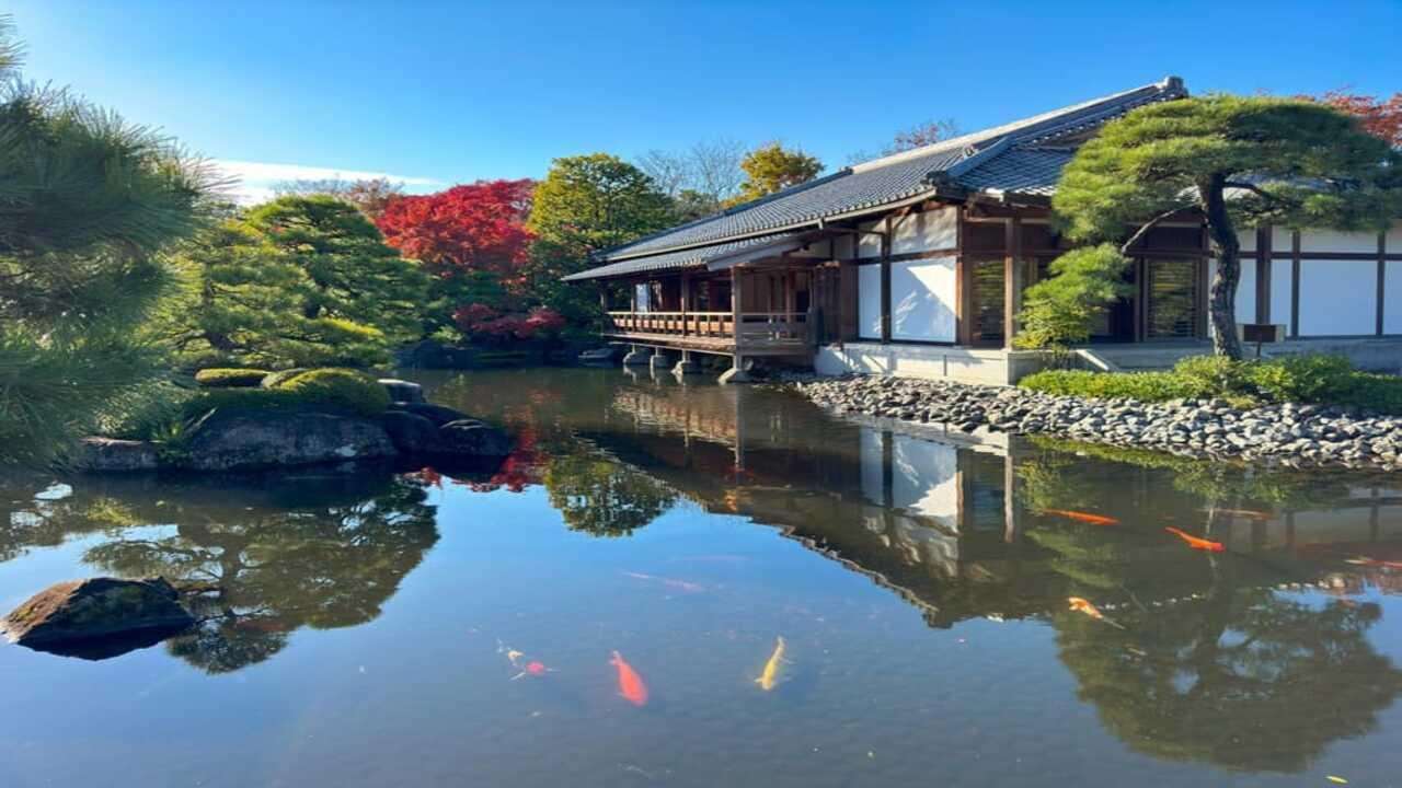 Kyoto Luxury Private Day Tour with Custom Itinerary