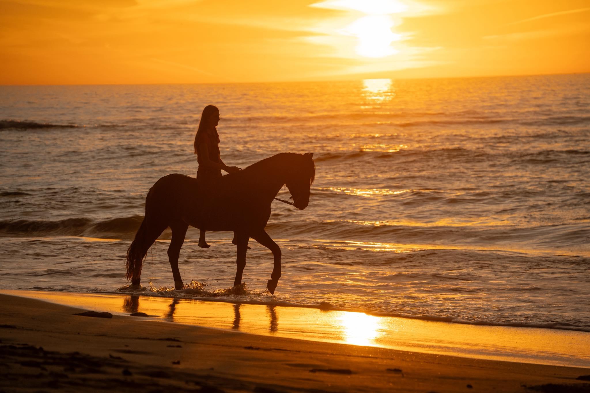 Essaouira Sunset Horseback Ride with Optional Dinner