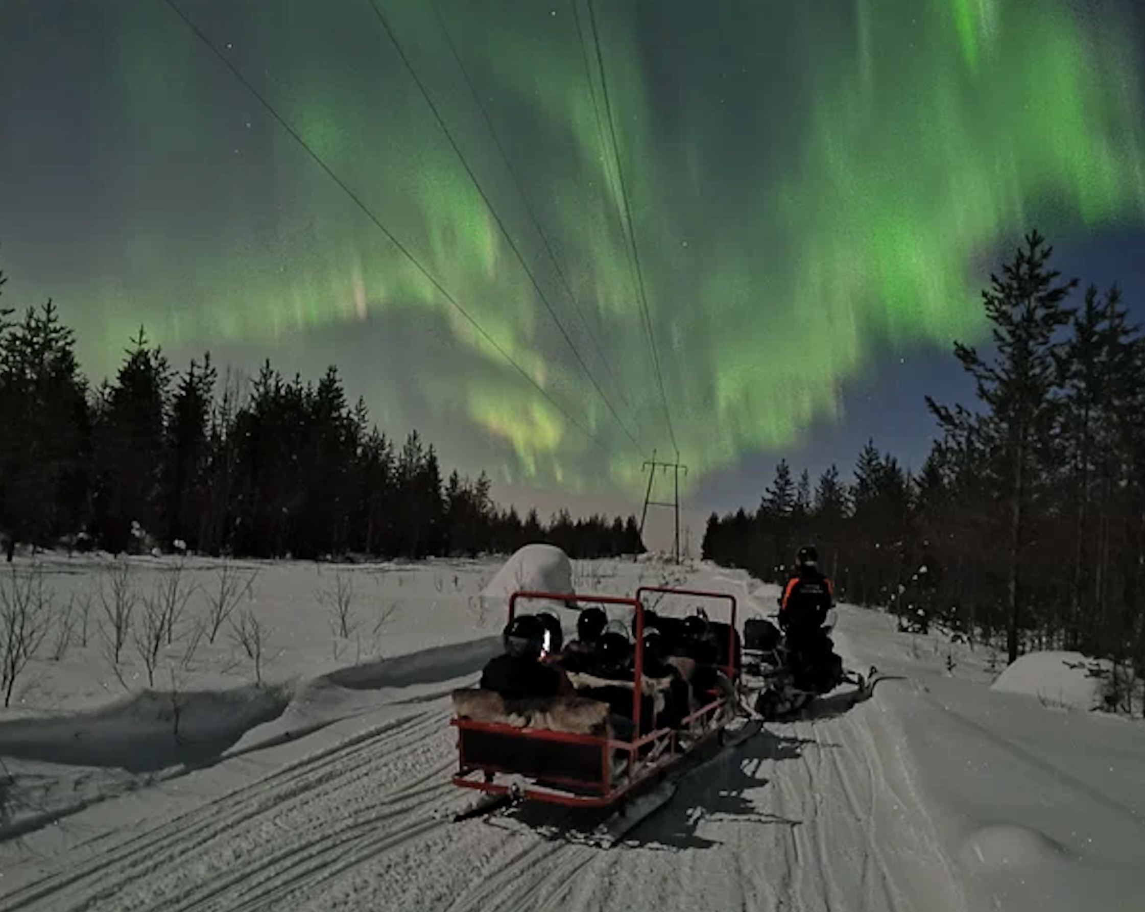 Northern Lights Sledge Adventure in Levi