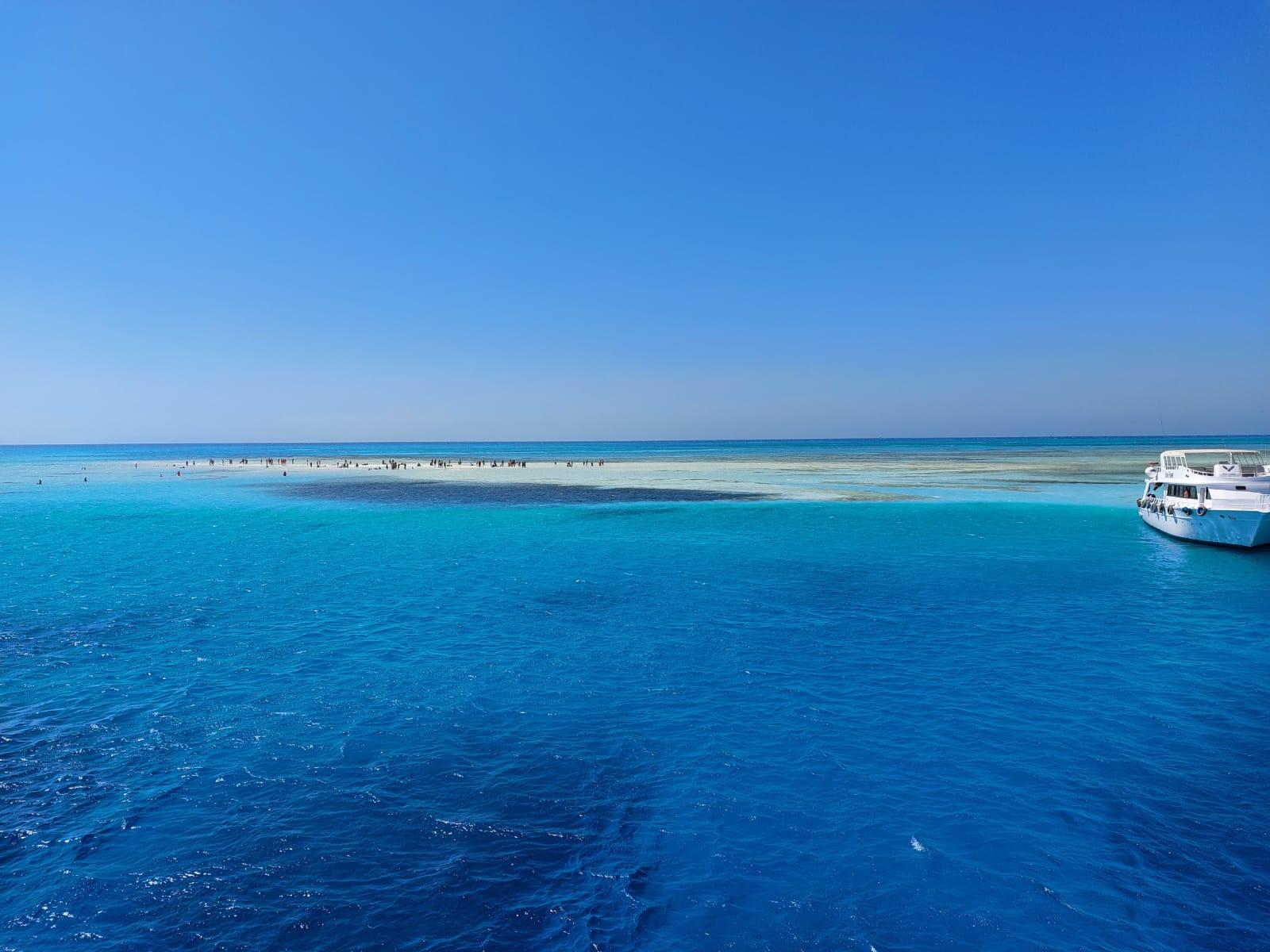 Ras Mohamed & White Island Snorkeling, Diving & Lunch from Sharm