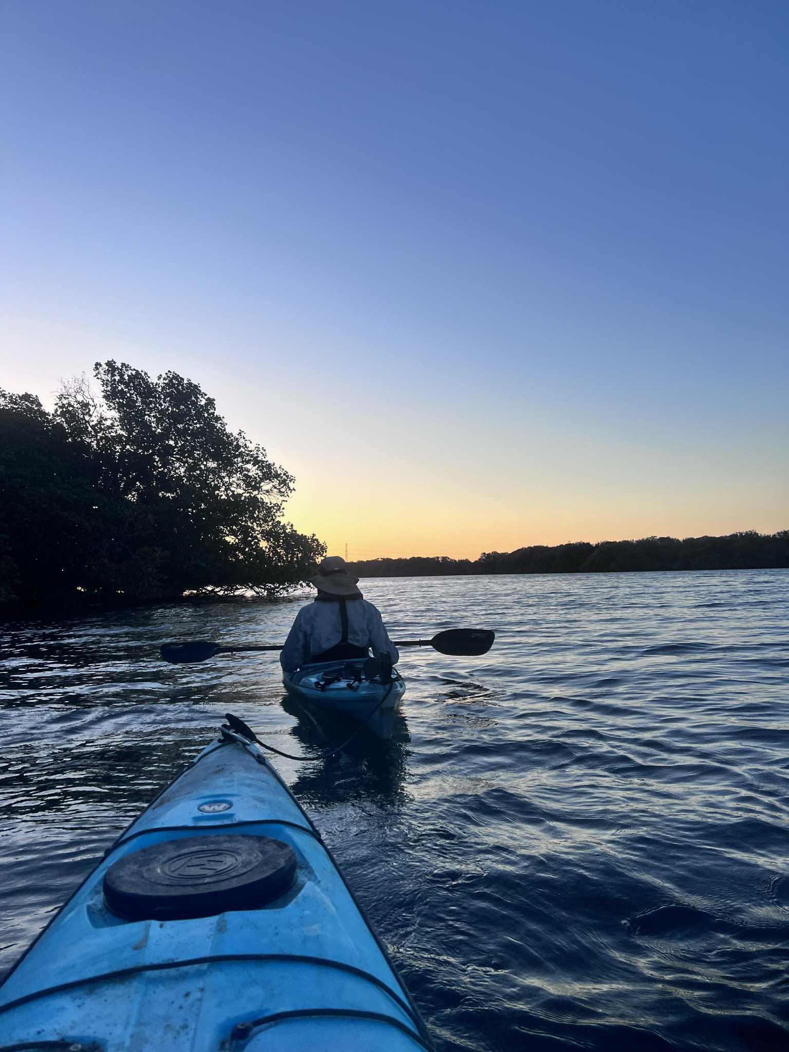 Twilight Mangrove Creek Kayak Adventure