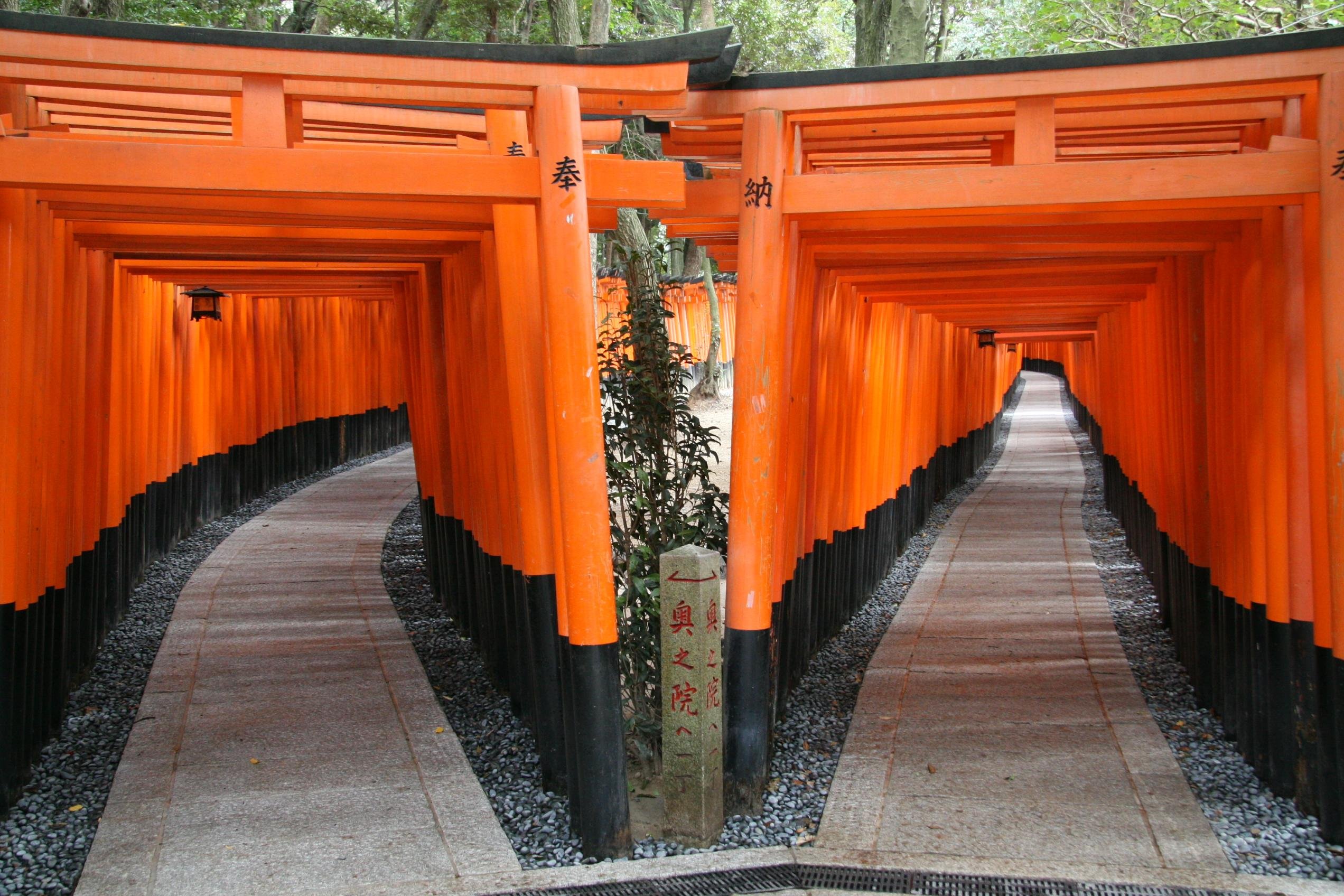 Kyoto Full-Day Bus Tour: Fushimi Inari, Kinkaku-ji & Bamboo Grove