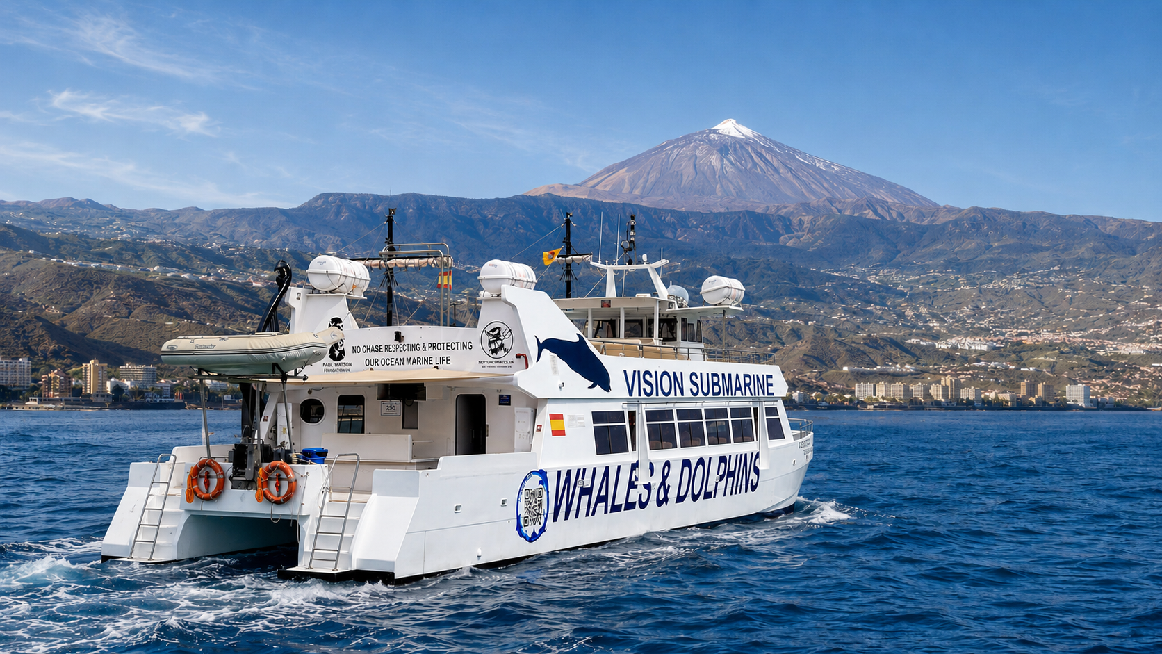 Tenerife Eco-Friendly Whale & Dolphin Catamaran Safari