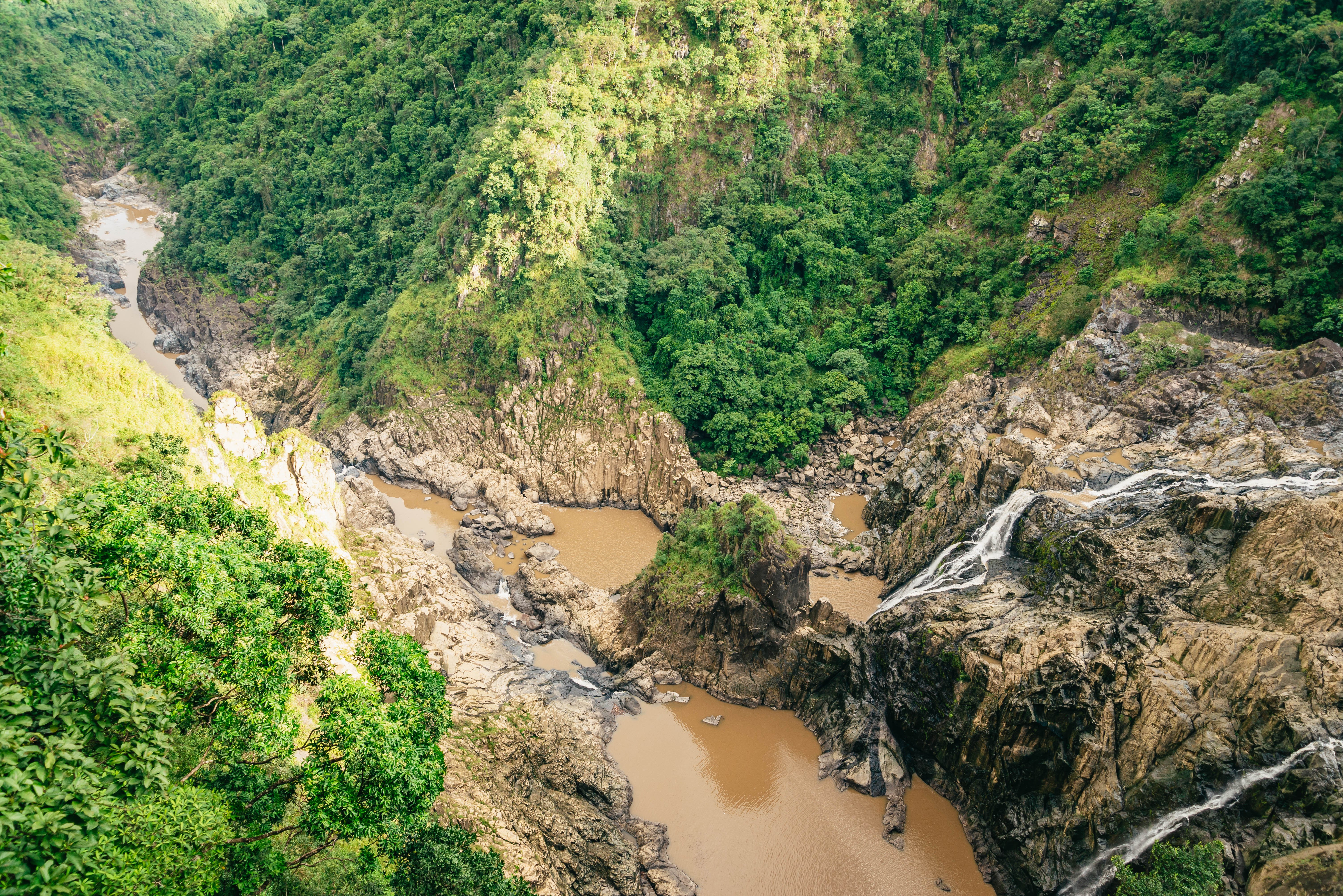 Kuranda Rainforest Full-Day Experience from Cairns