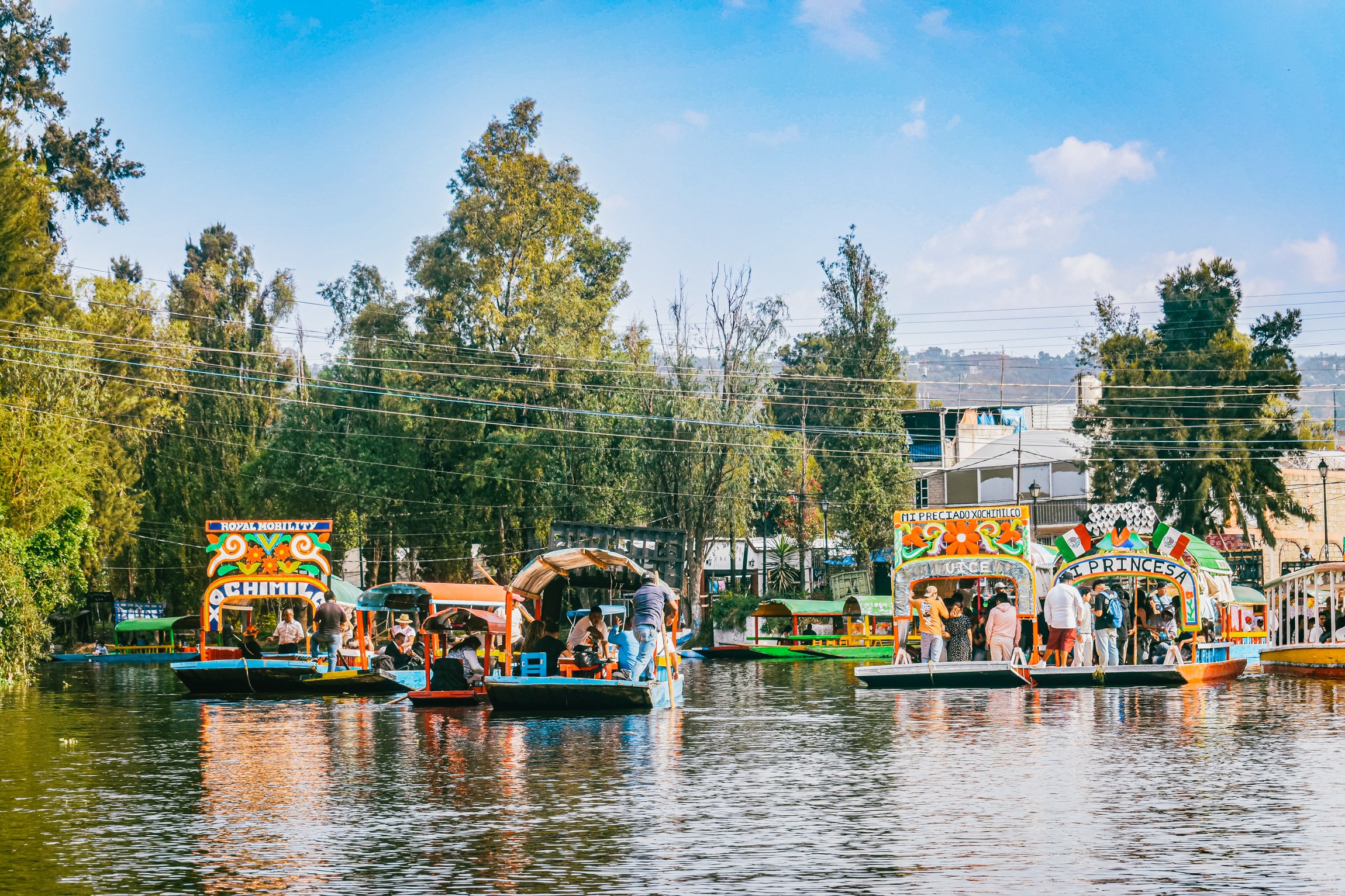 Mexico City: Xochimilco, Coyoacán & Frida Kahlo Experience