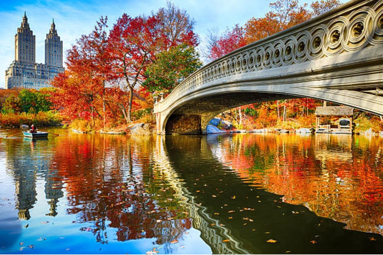 Private Central Park Horse Carriage Tour with Guide