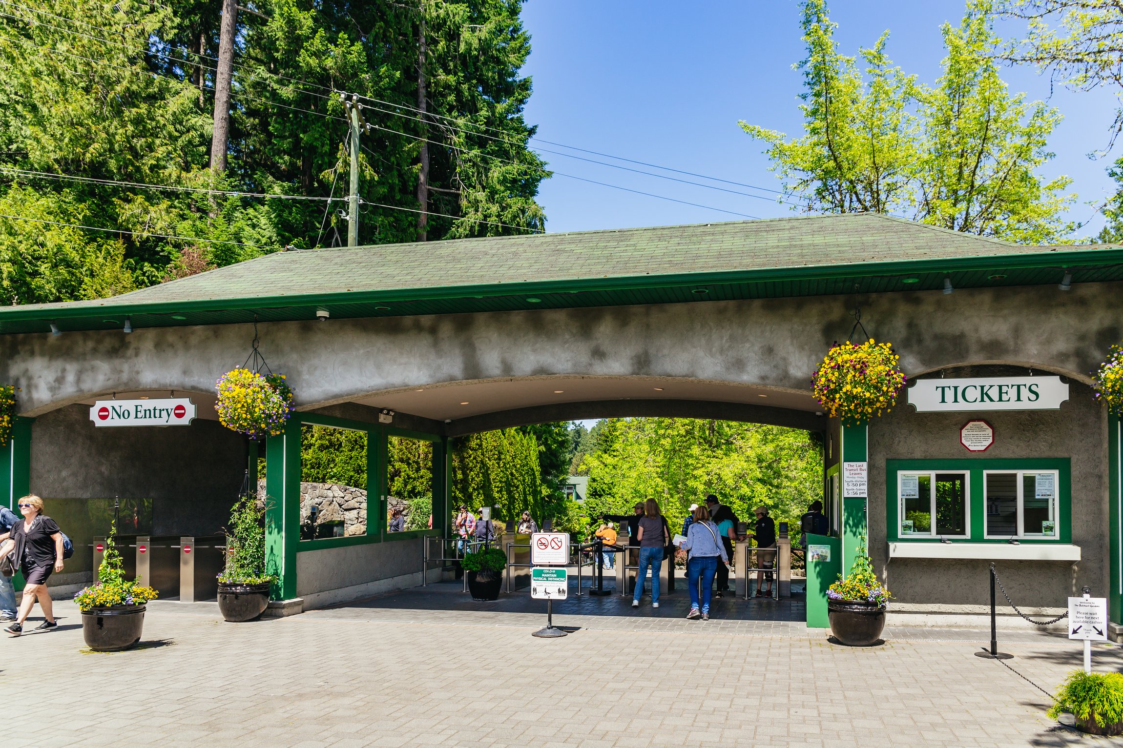 Butchart Gardens — the Sunken Garden, Rose Garden and Japanese Garden — image 13
